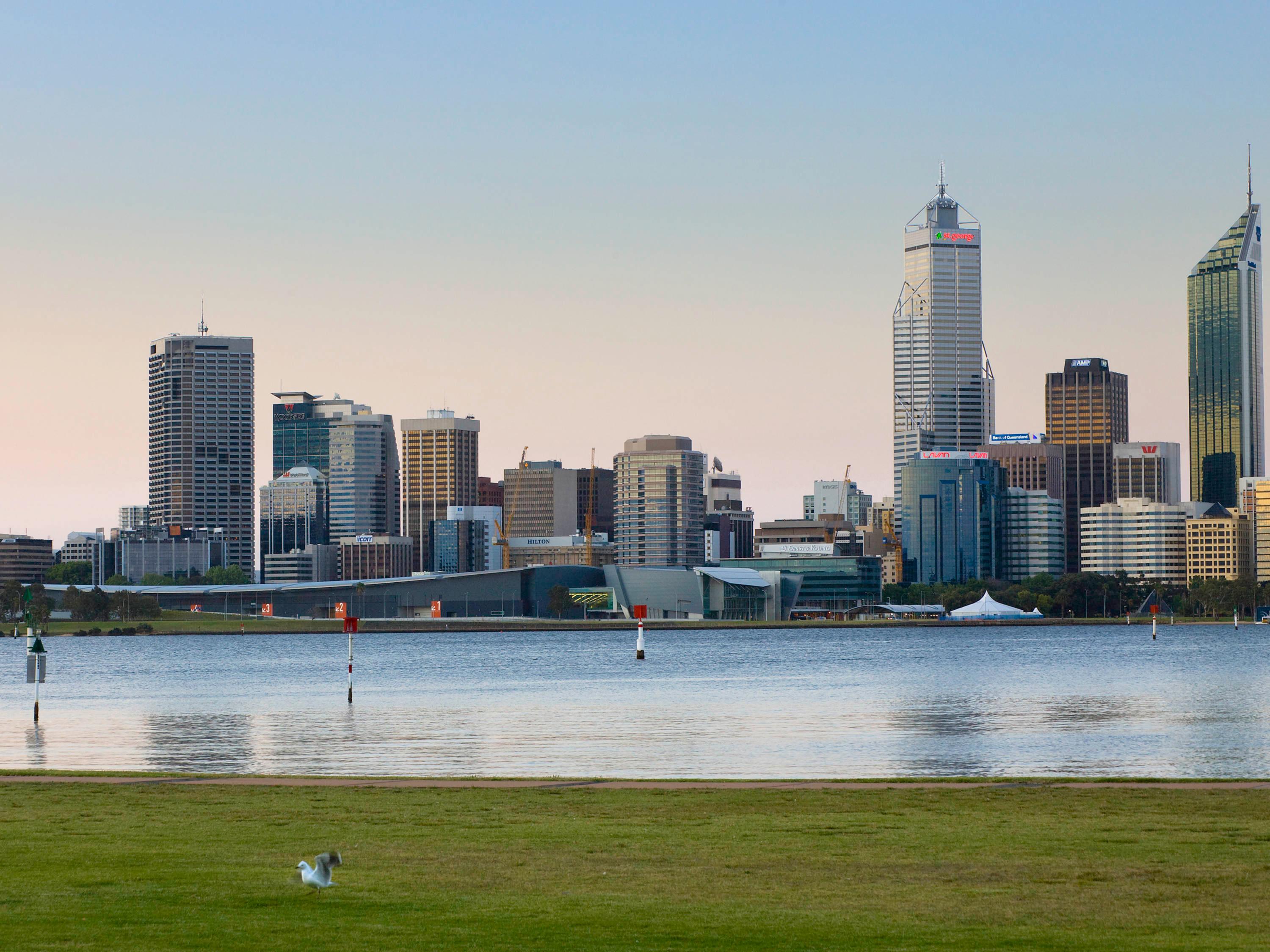 The Adnate Perth - Art Series by null