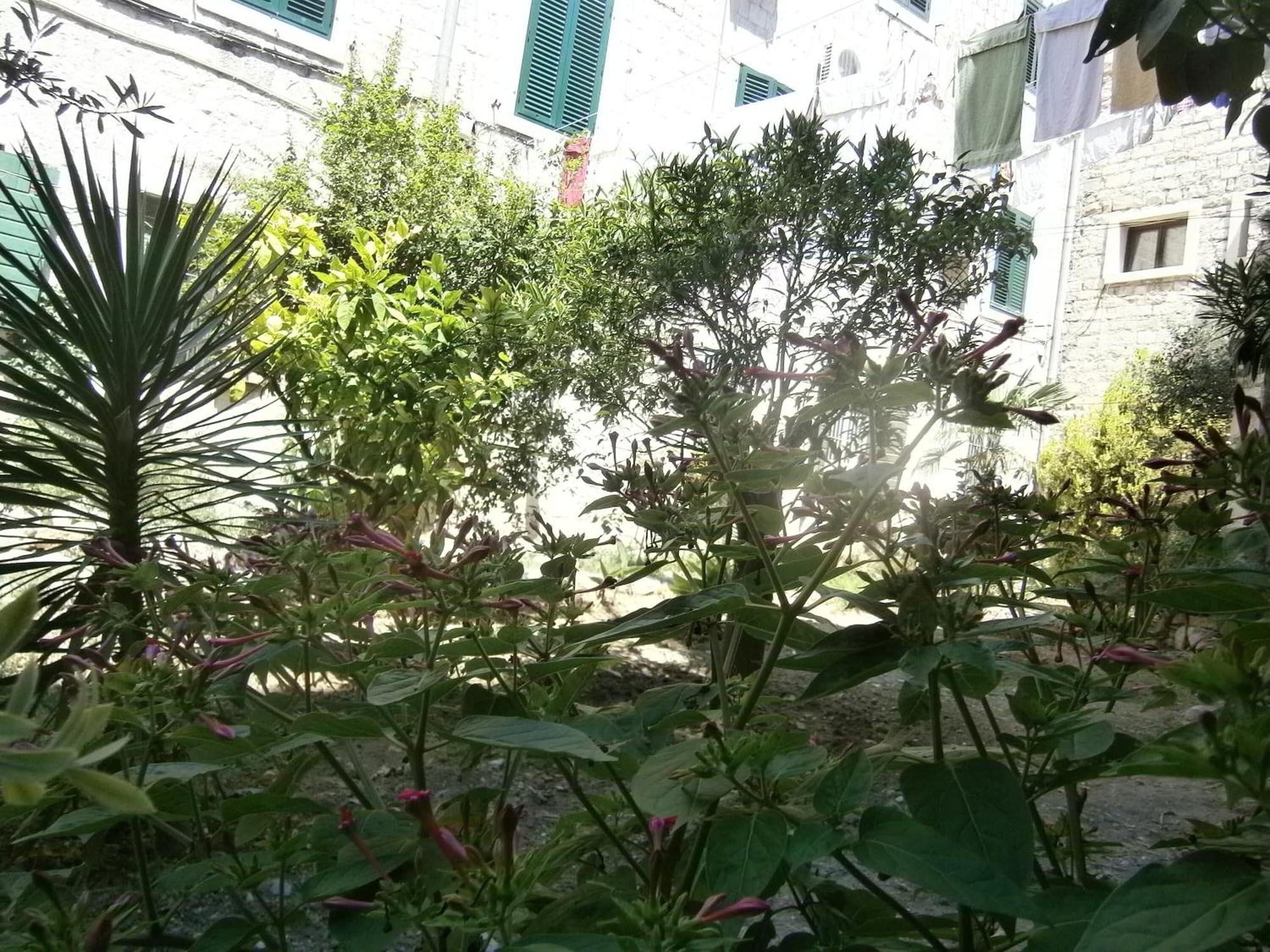 Apartments And Rooms Djanovic - фото