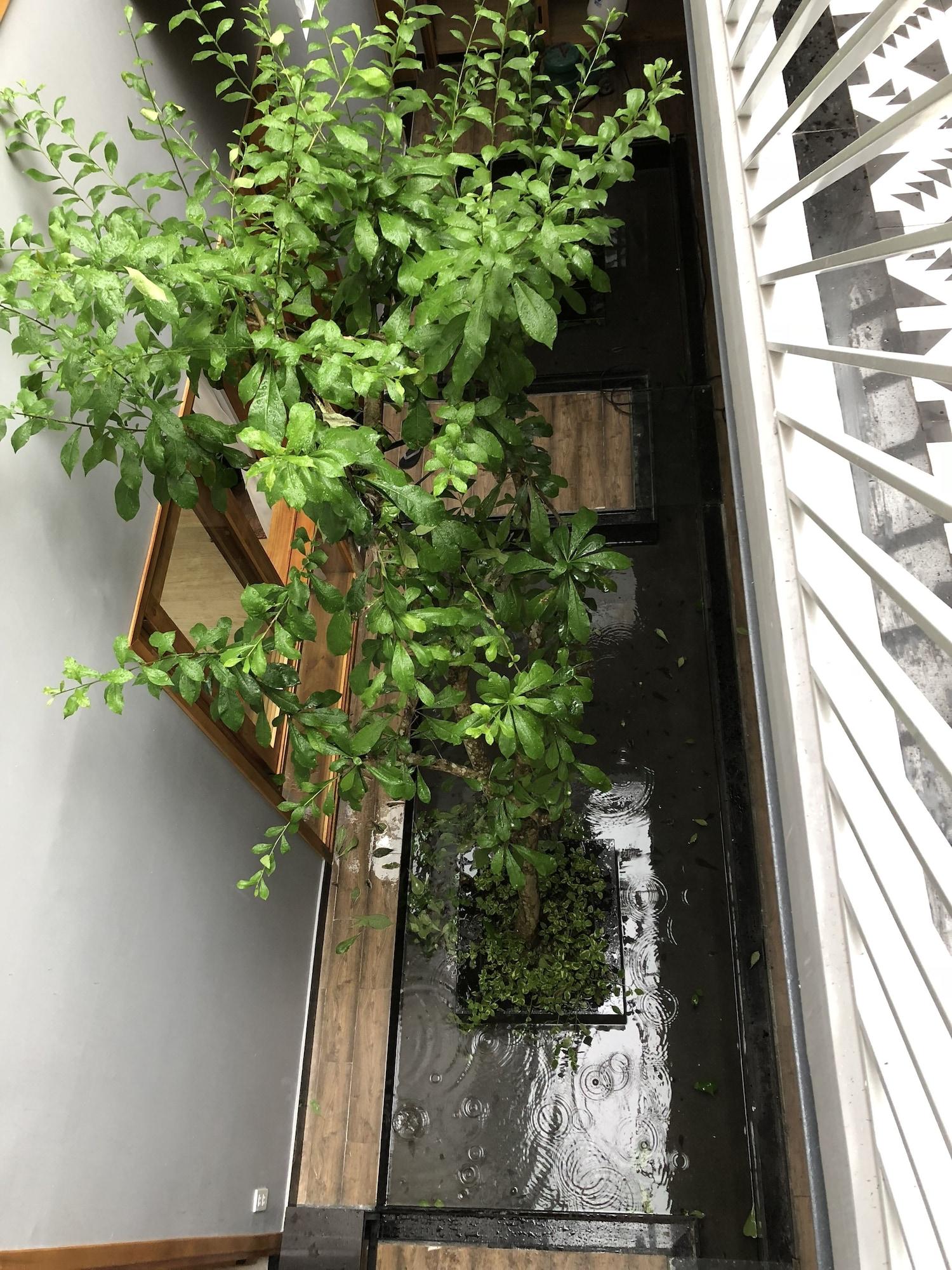 Yellow House Boutique - photo