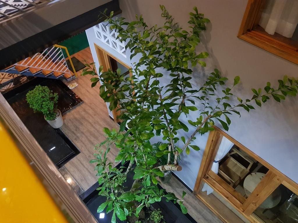 Yellow House Boutique - photo