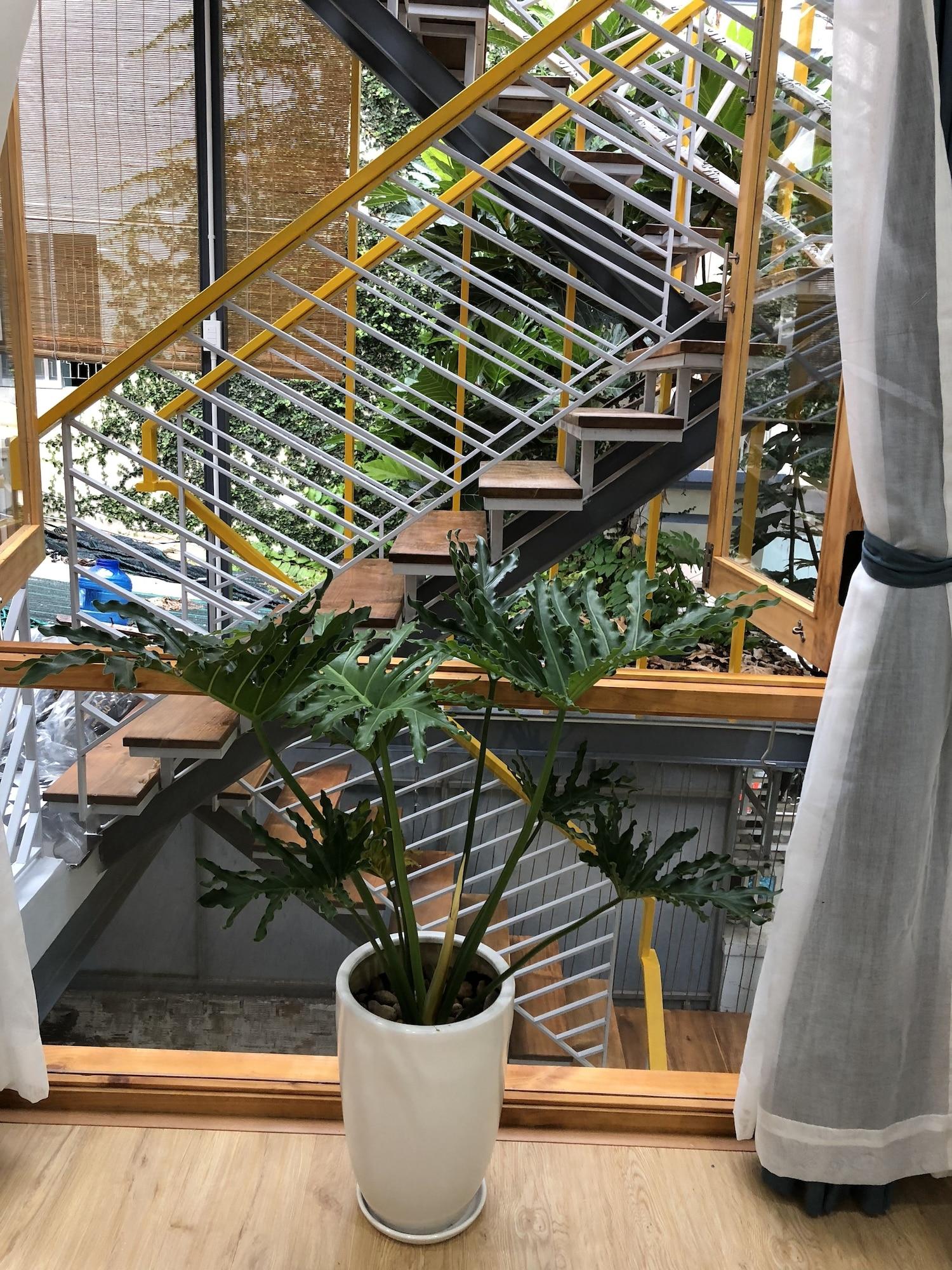 Yellow House Boutique - photo