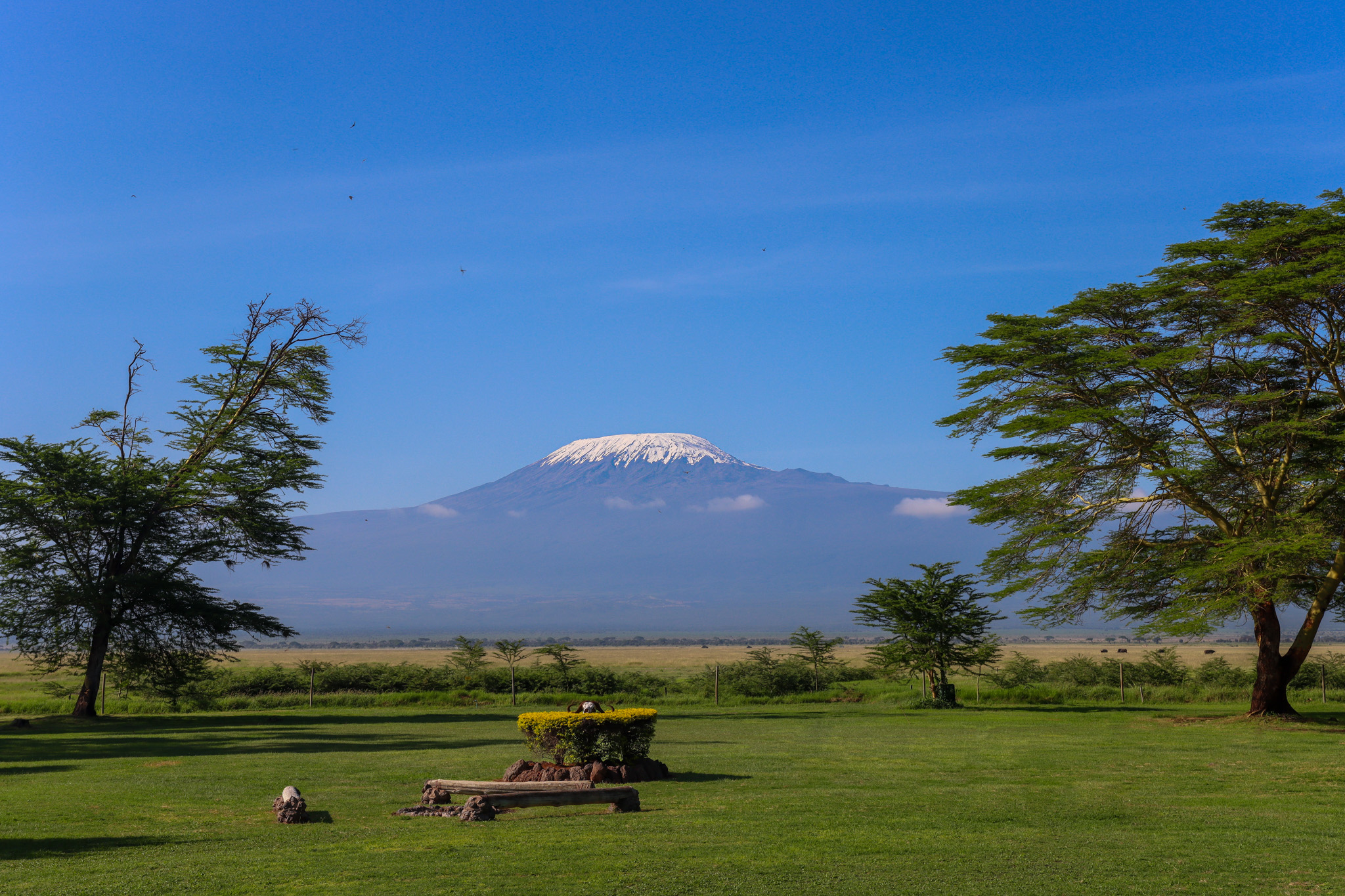 Ol Tukai Lodge Amboseli by null