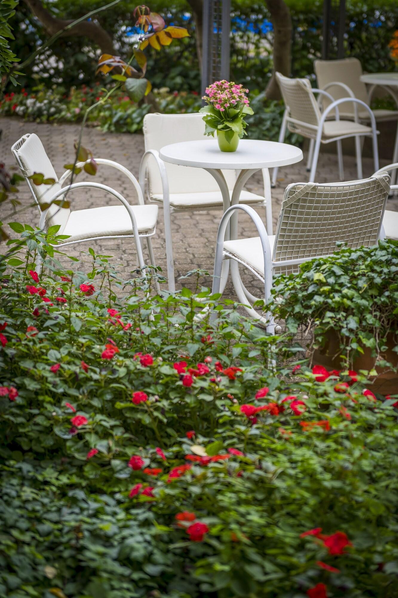 Hotel Stella - photo