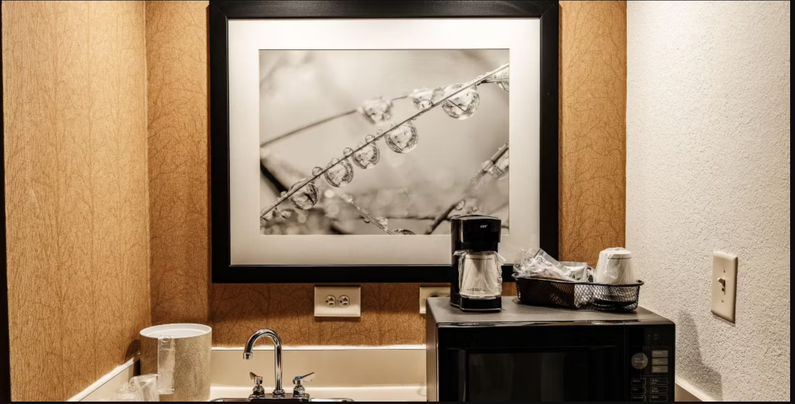 The Beacon Charlotte Airport by IHG