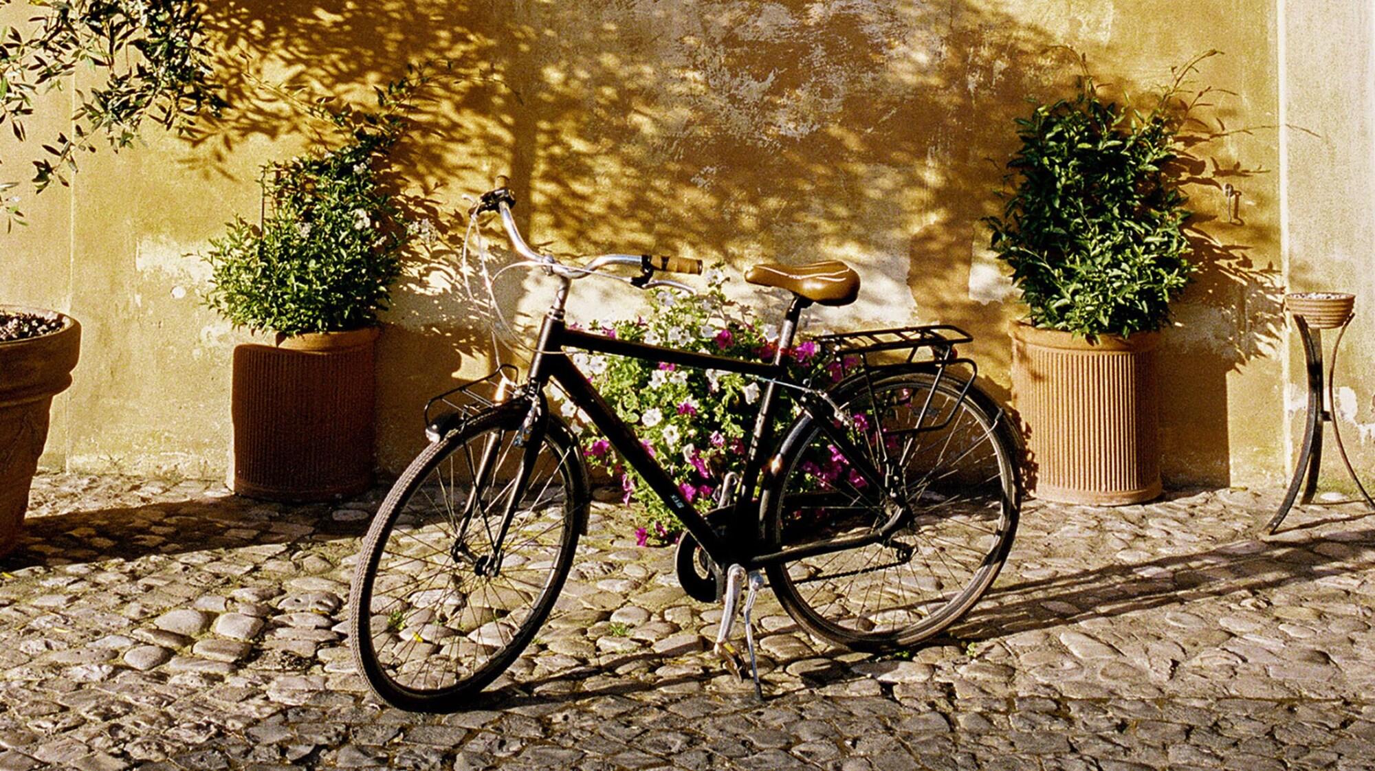 La Posta Vecchia Hotel