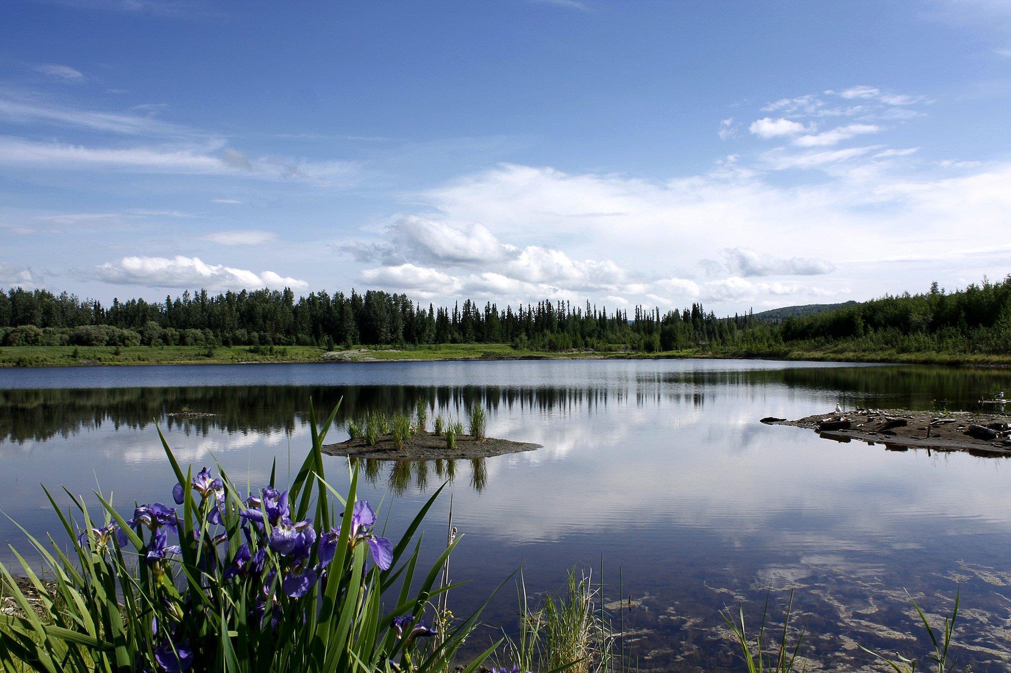 Bear Lodge @ Wedgewood Resort photo 6