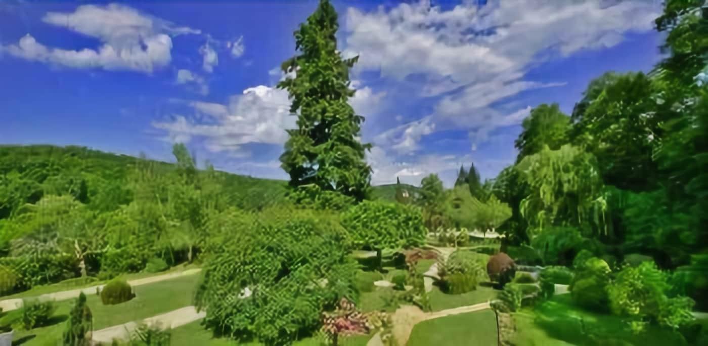 Le Bistro des Glycines by null