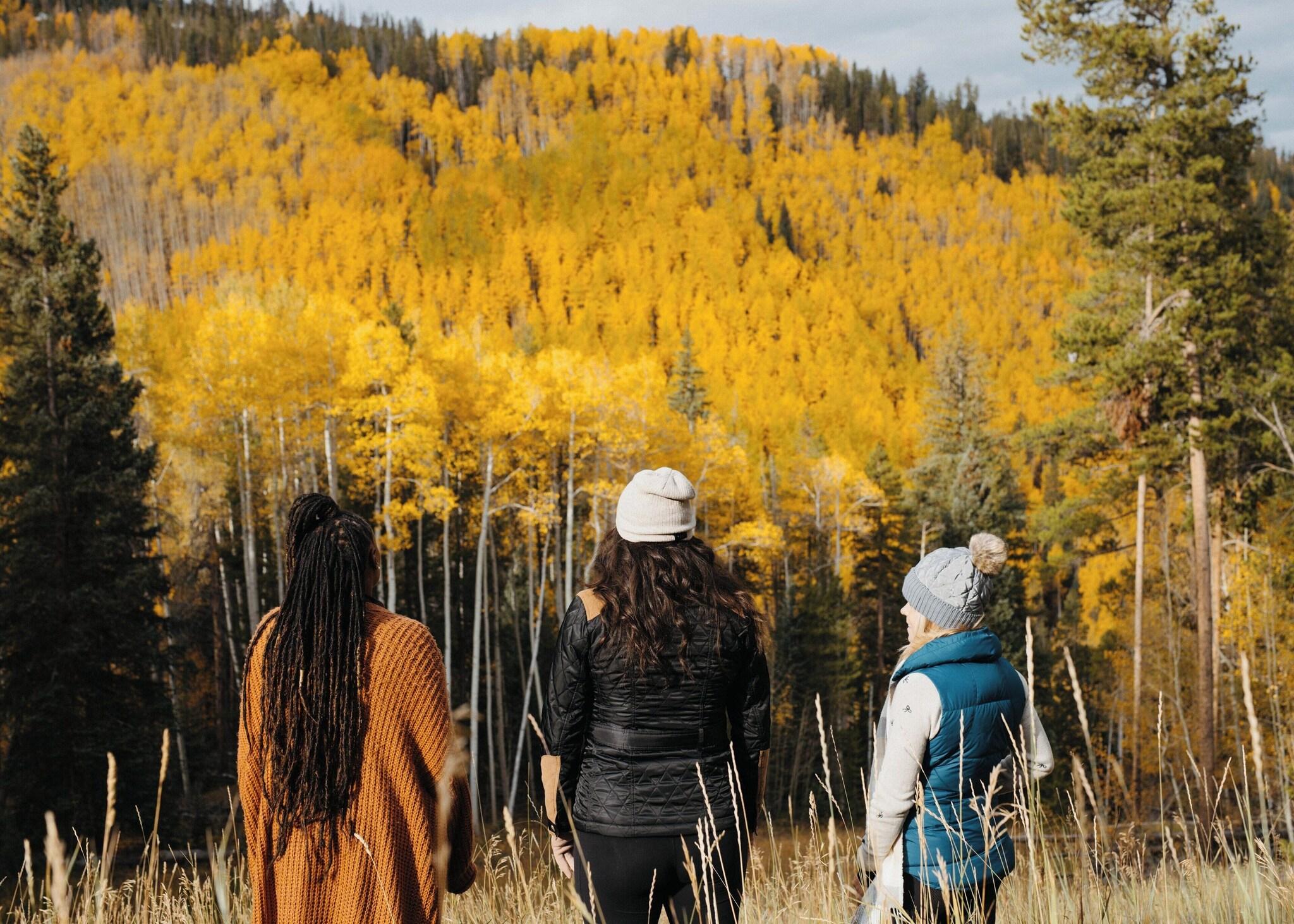 W Aspen by null W Aspen by null