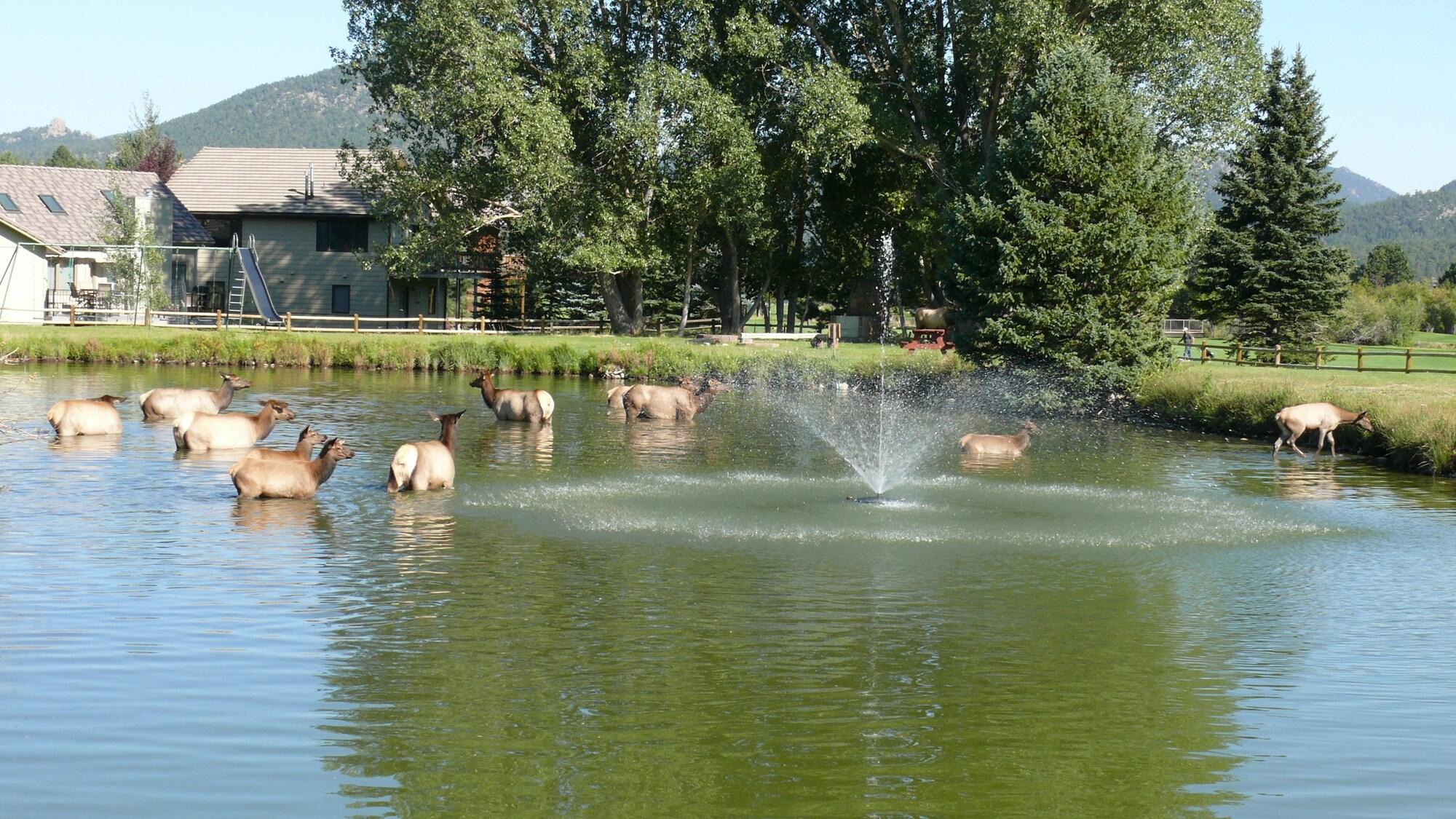 Discovery Lodge
