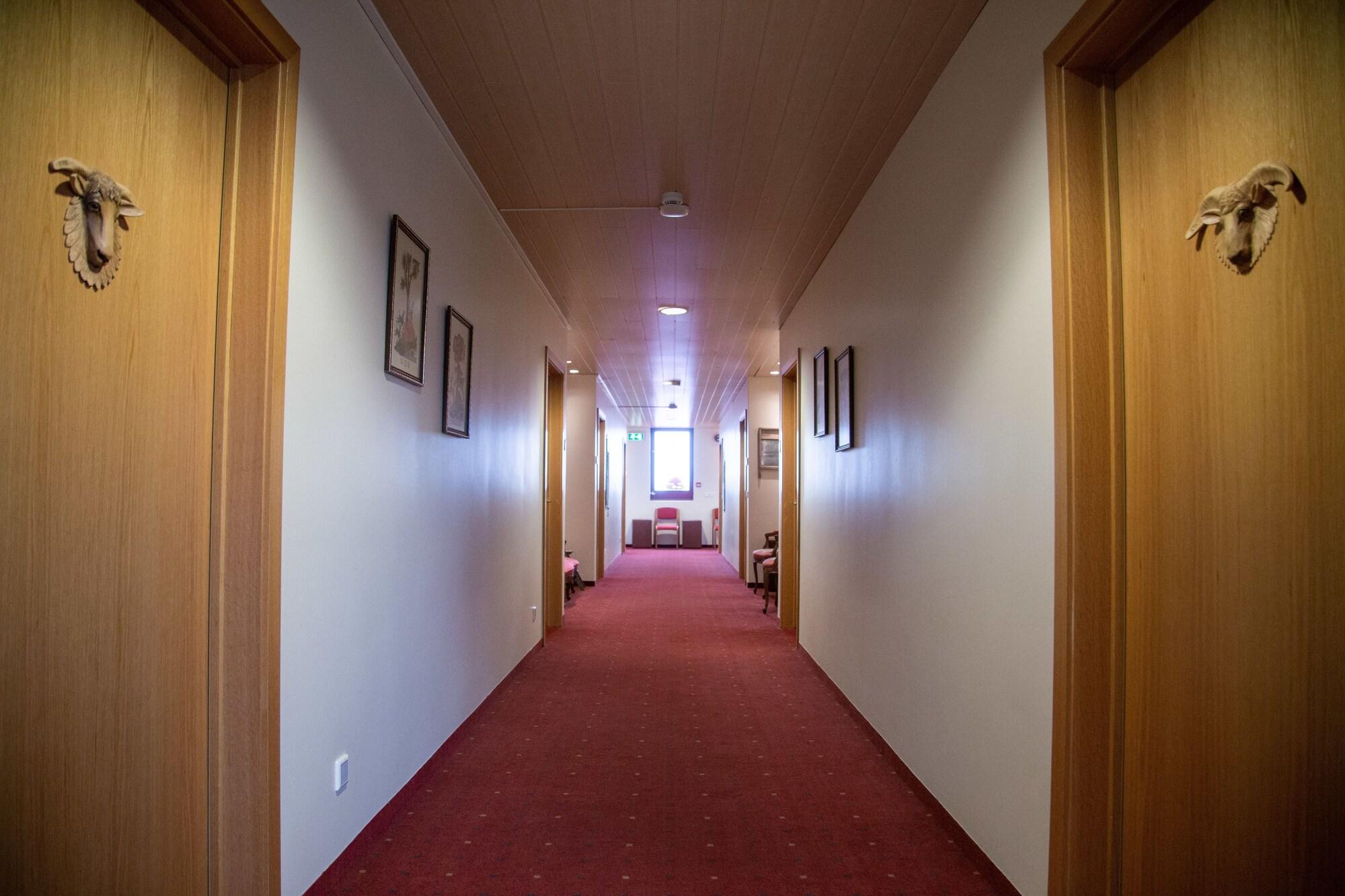 Hotel Smyrlabjörg by null