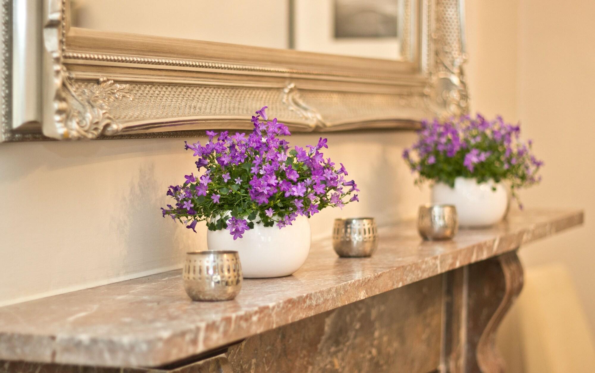 The Hedley Townhouse B&B