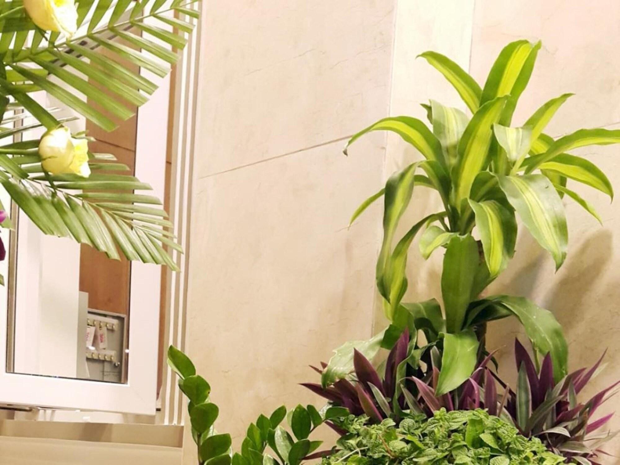 Hong Mai Hotel - attēls