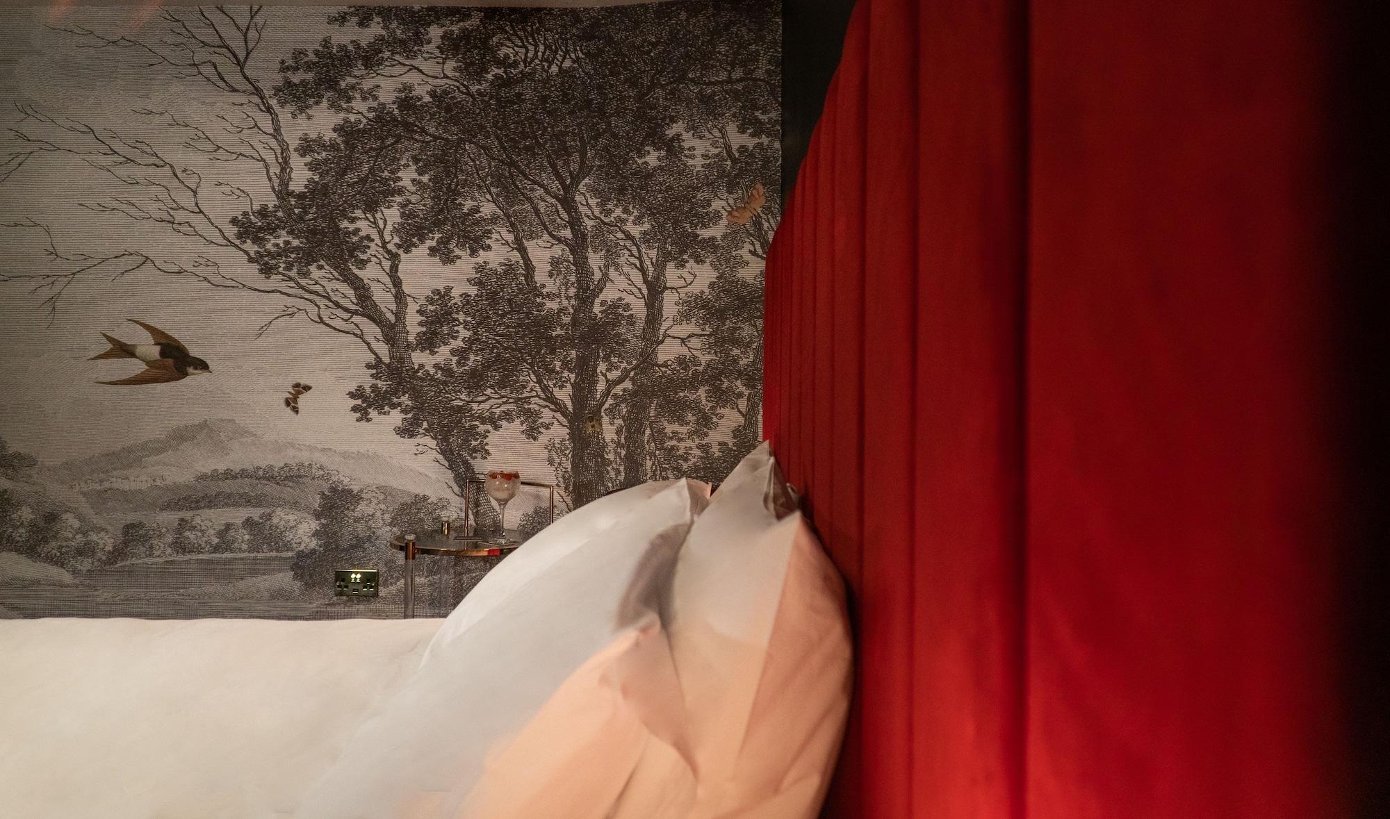 19 Duke Street by null