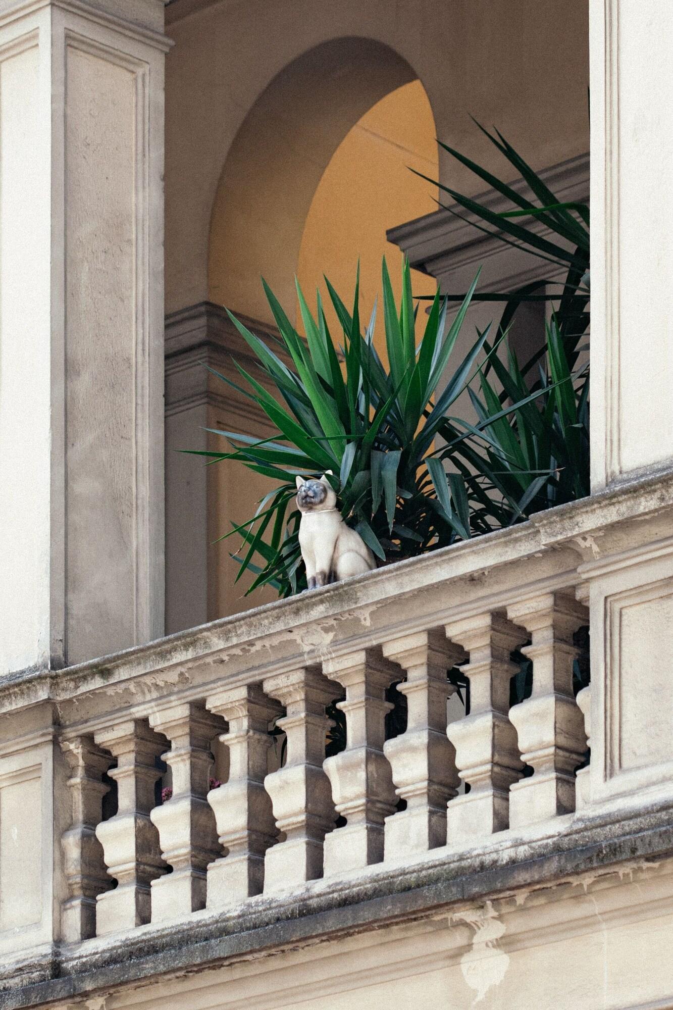 Hotel Gran Duca Di York - photo