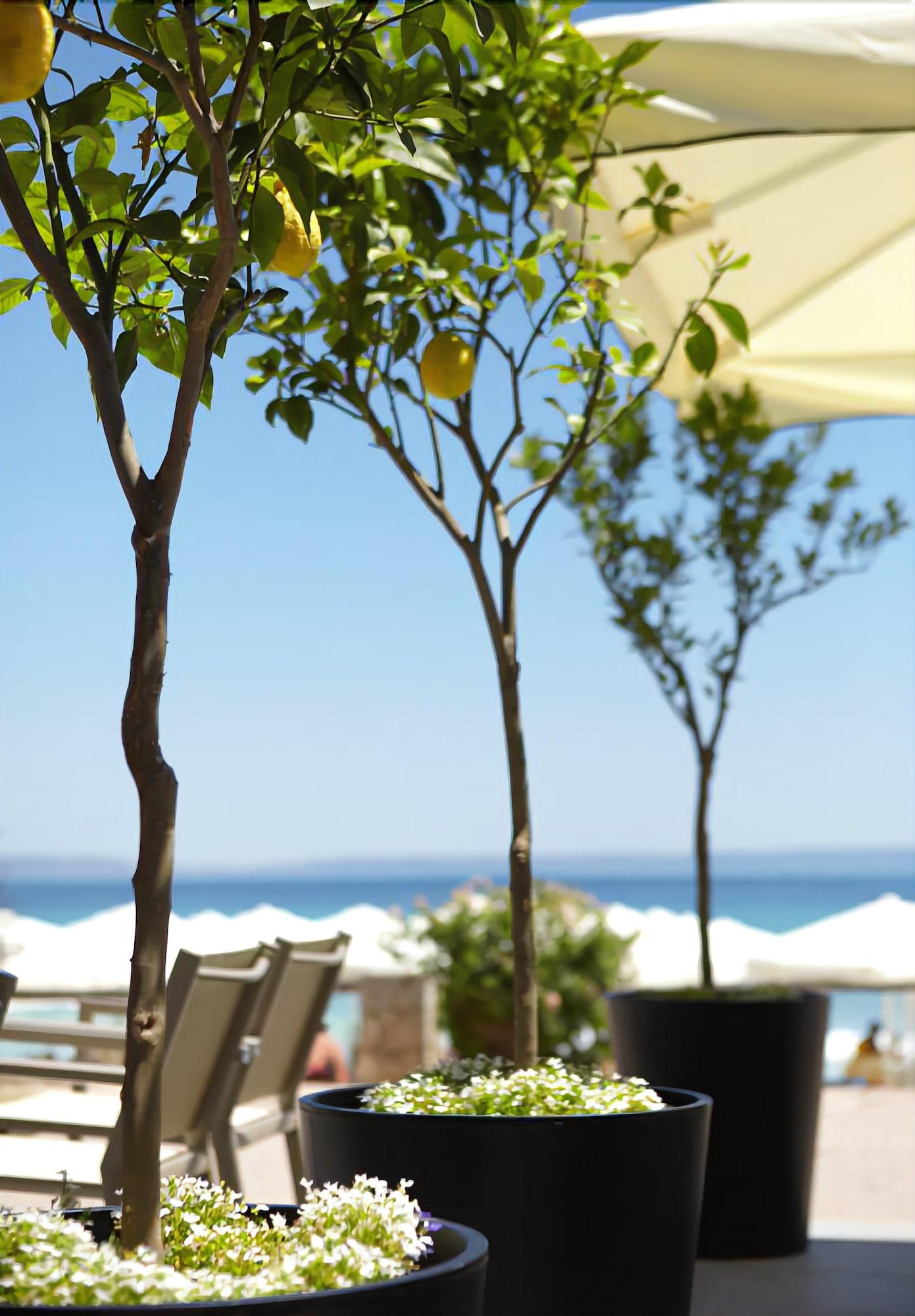 Margarita Sea Side Hotel - фото