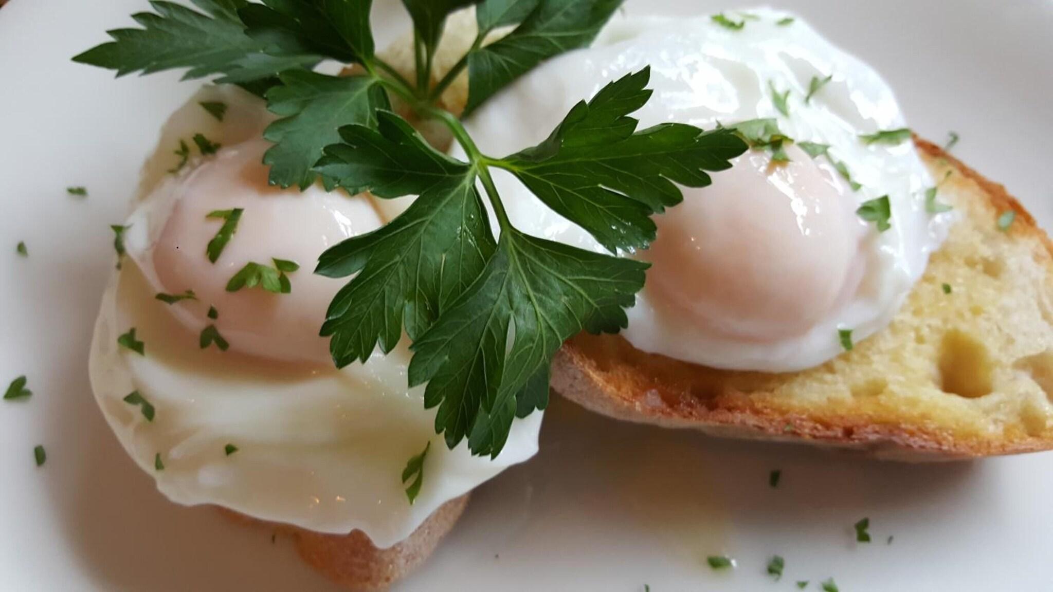 Ballina Palms Boutique Motel by null