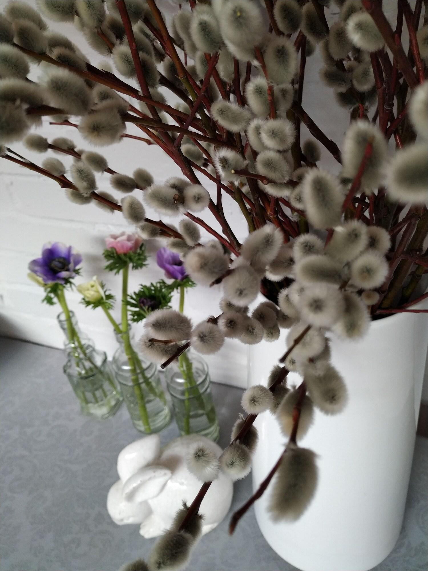 Hotel Stare Miasto by null