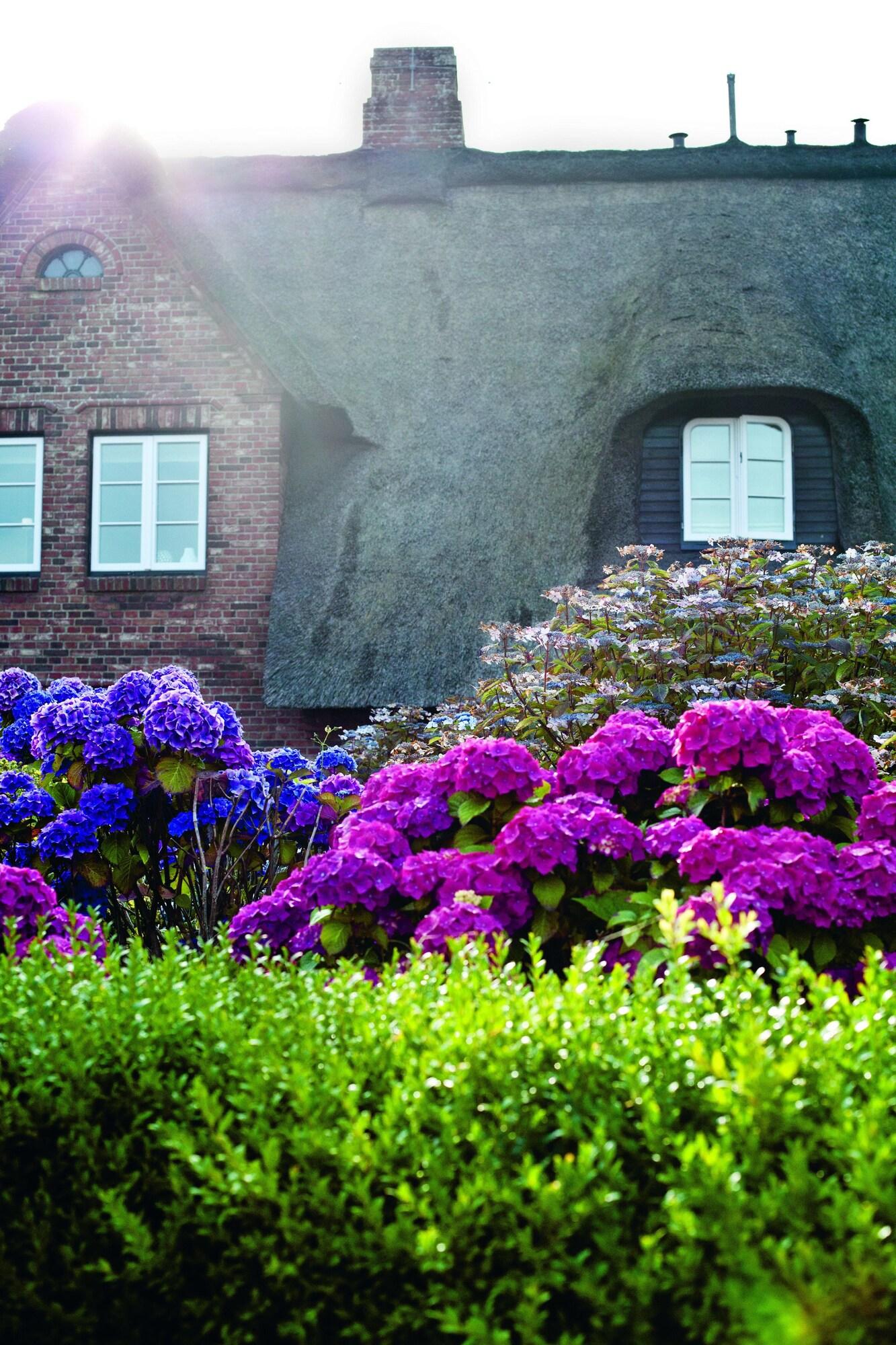 Hotel Aarnhoog by null