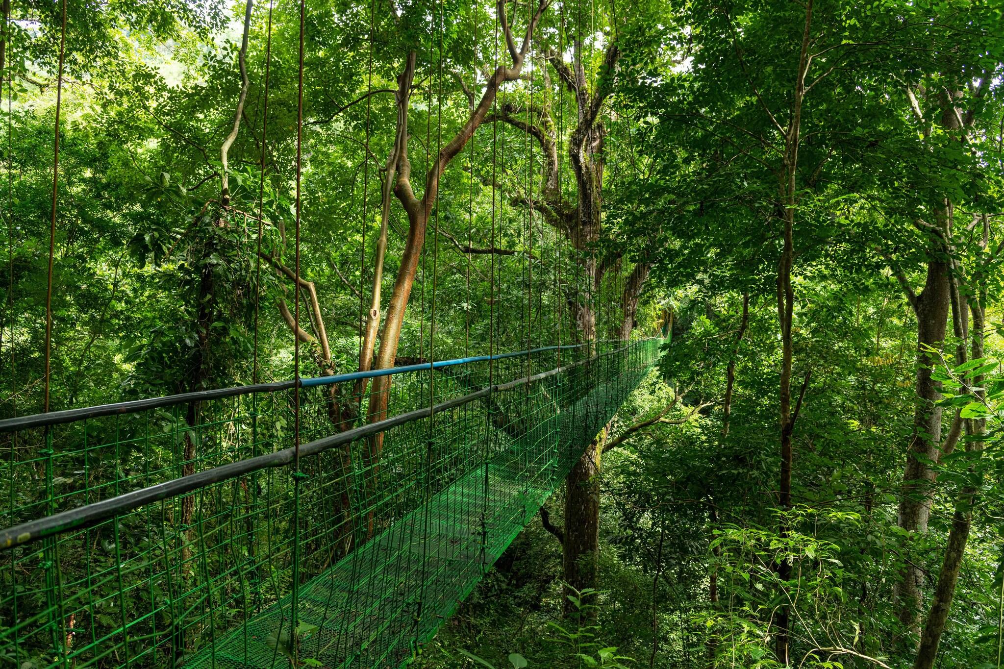 Villa Lapas Jungle Village by null