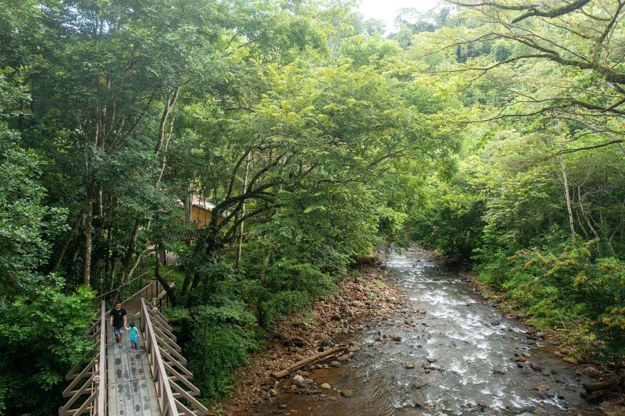 Villa Lapas Jungle Village by null