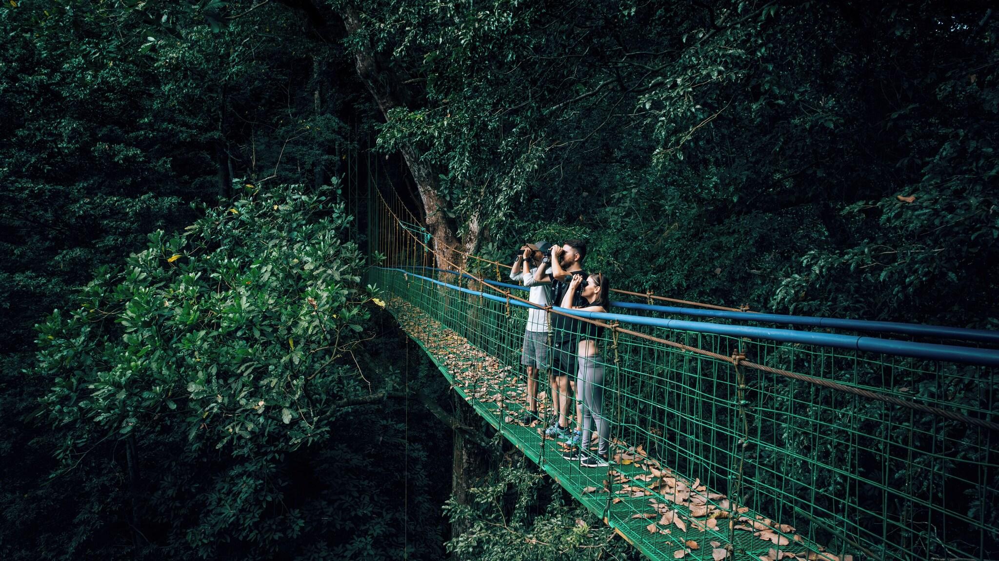 Villa Lapas Jungle Village by null