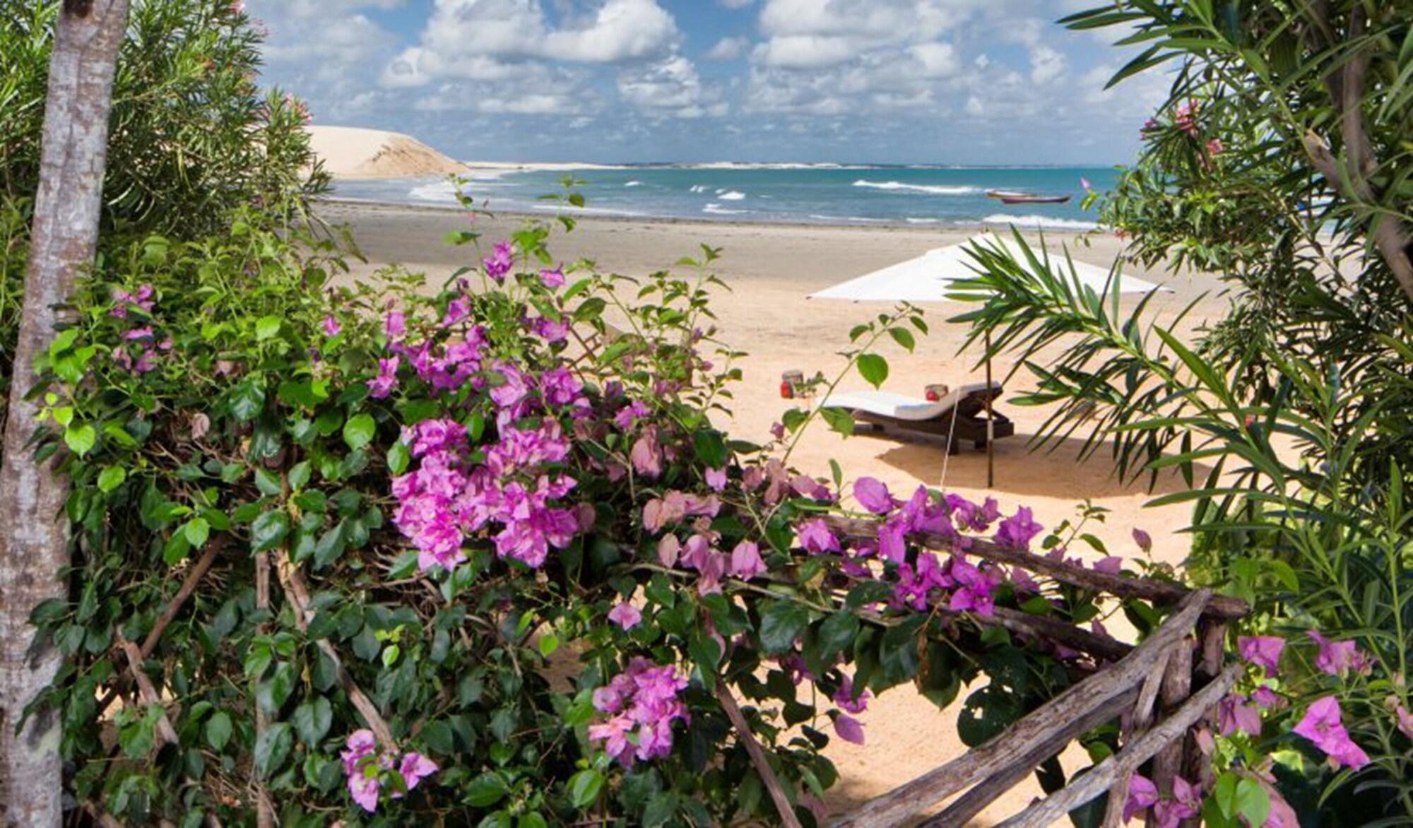 Hotel Casa de Areia by null