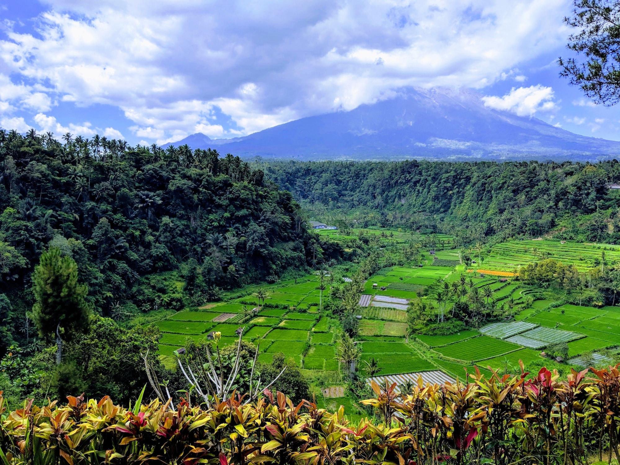 Okawati Boutique Bungalows by null