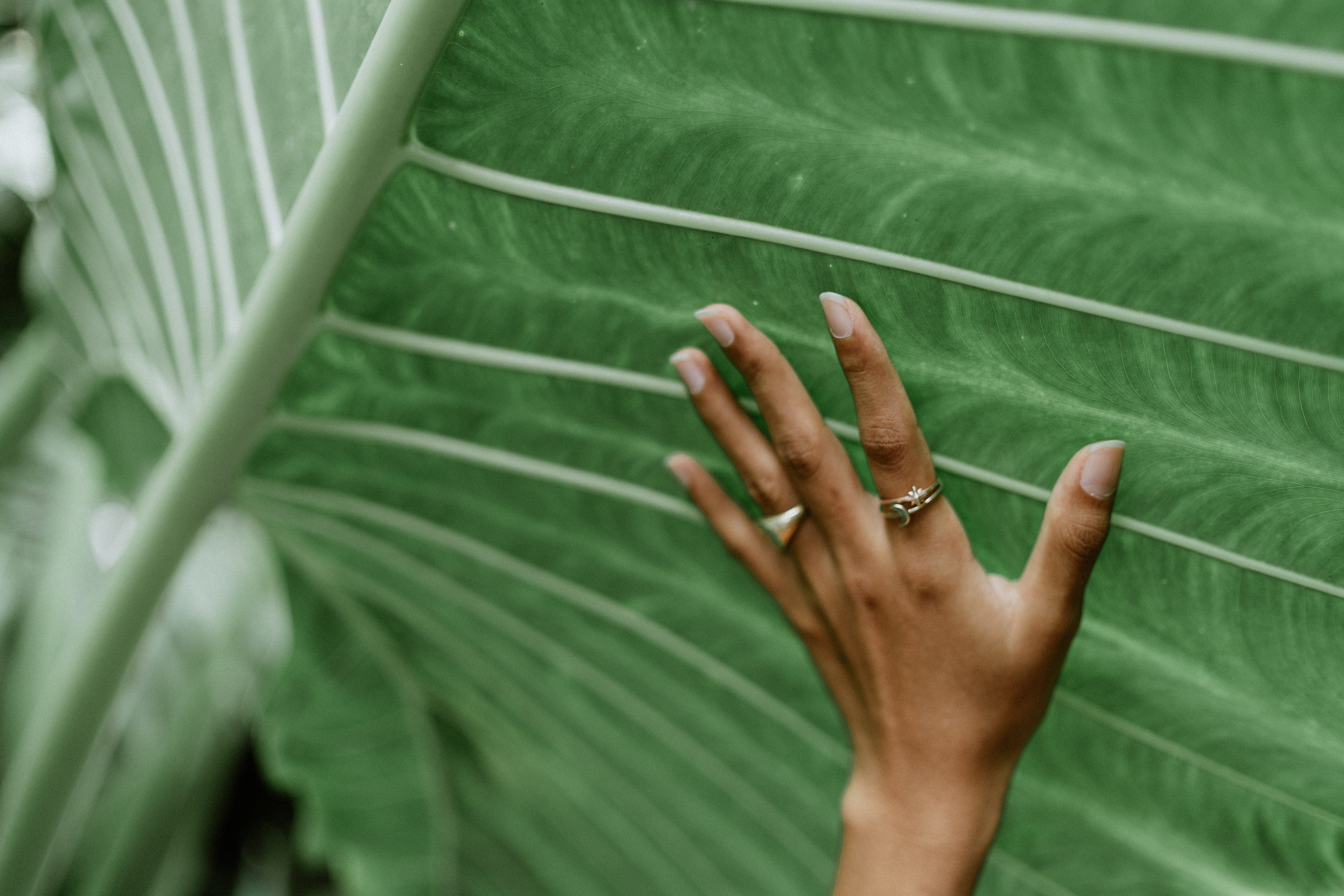 Zin Canggu Resort Villas - photo