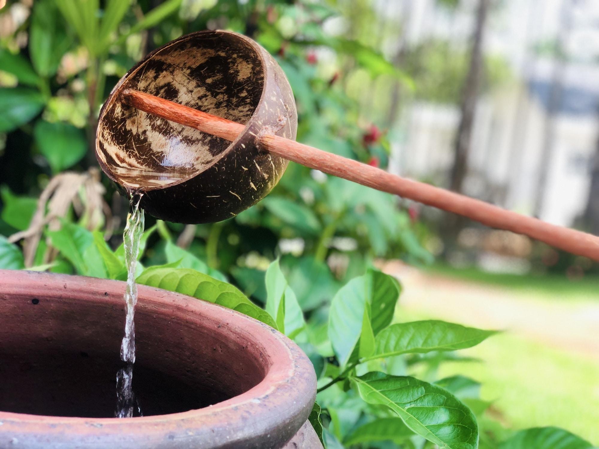 Doi Sao Phu Quoc - фото