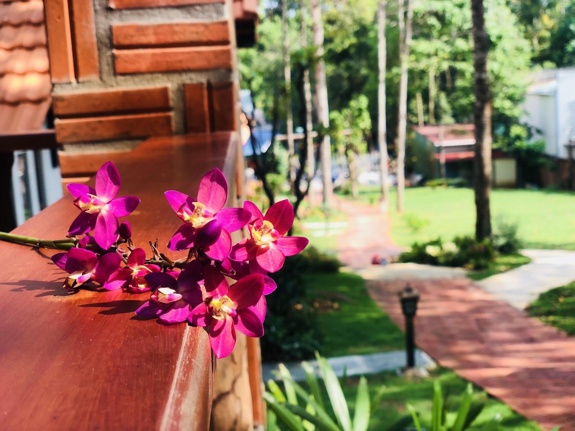 Doi Sao Phu Quoc - фото