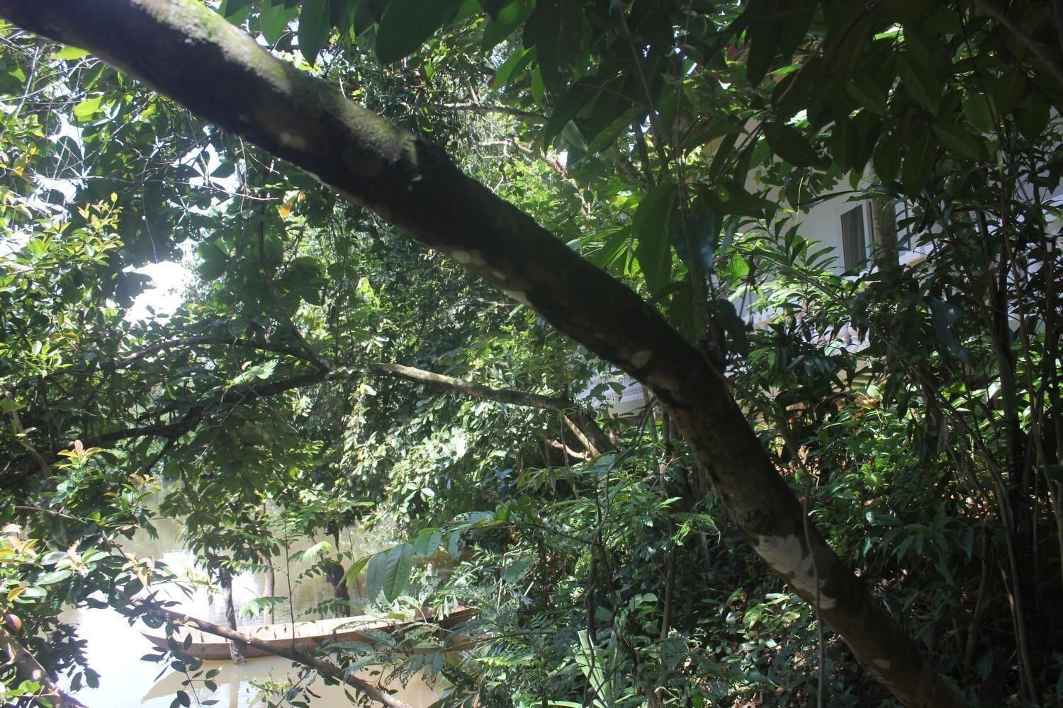 Eco Spring Phu Quoc Villa - фото