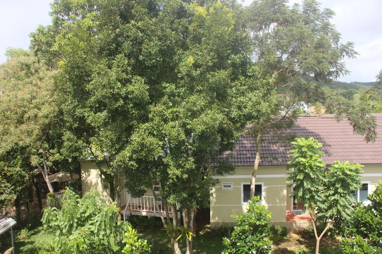 Eco Spring Phu Quoc Villa - фото