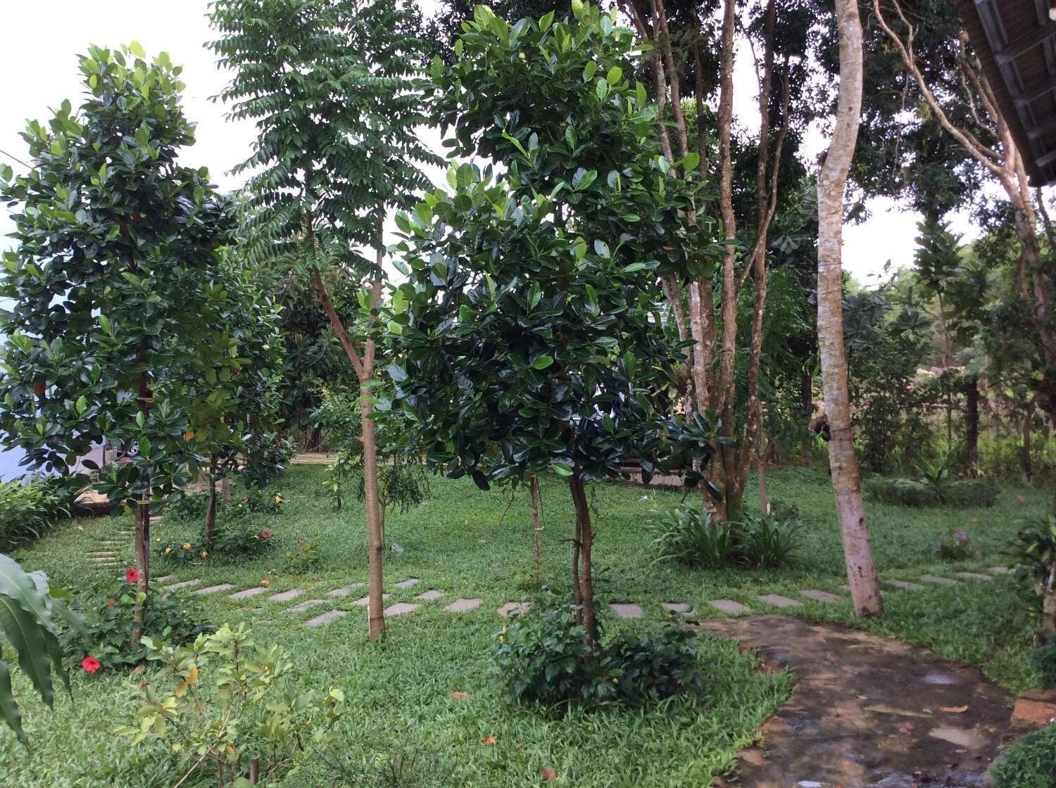 Eco Spring Phu Quoc Villa - фото