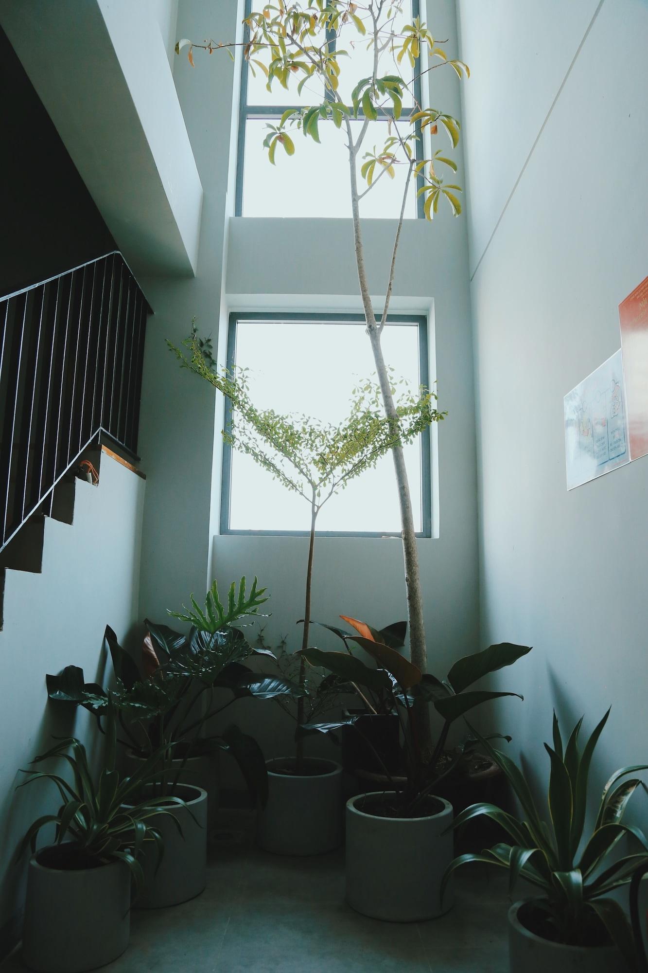 Marilyn Nha Trang Hotel - attēls