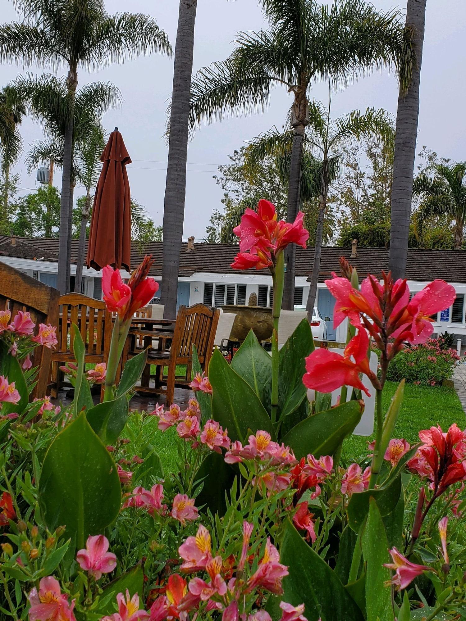 Marina Beach Motel by null