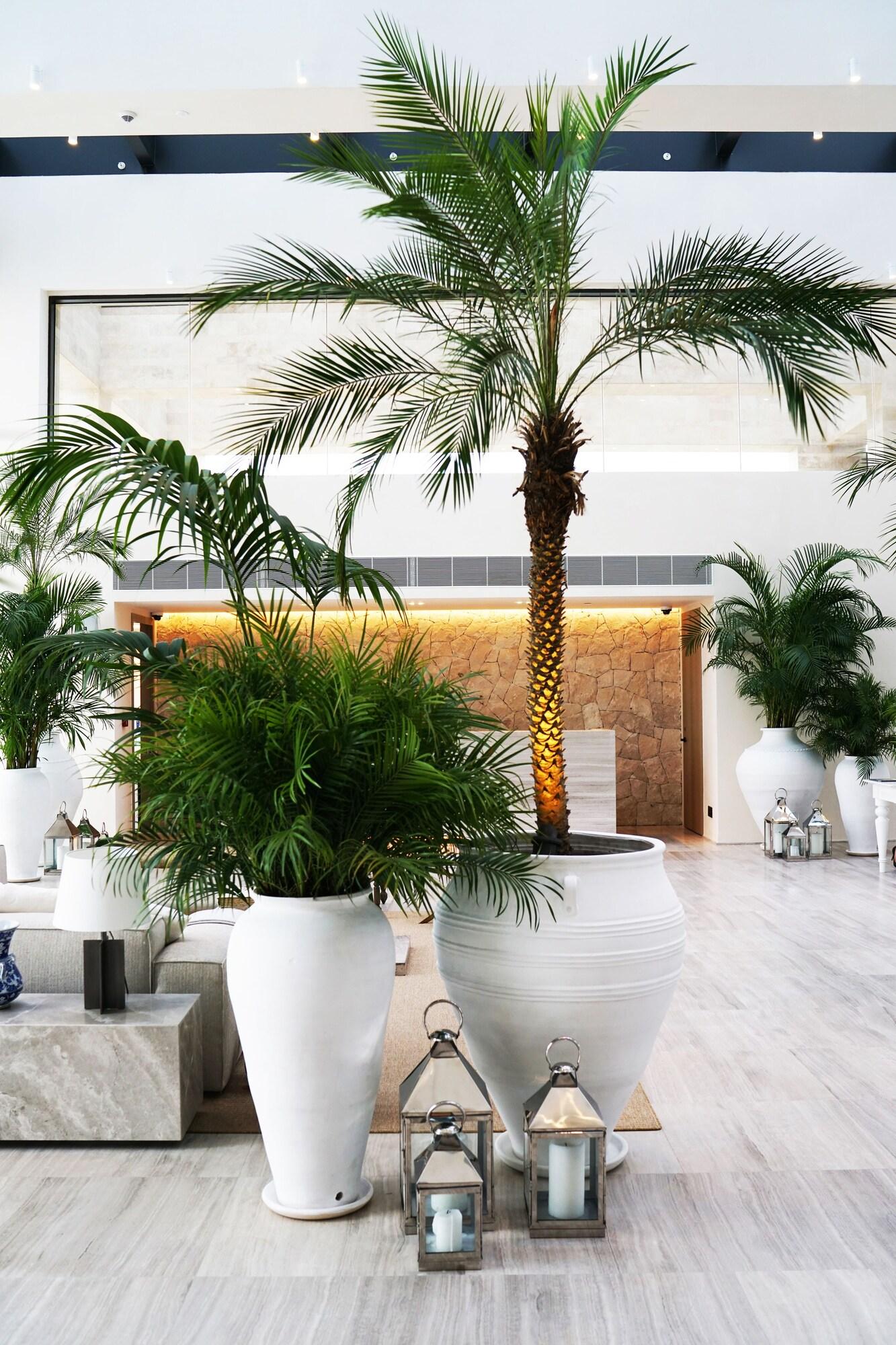 The Bodrum EDITION by null