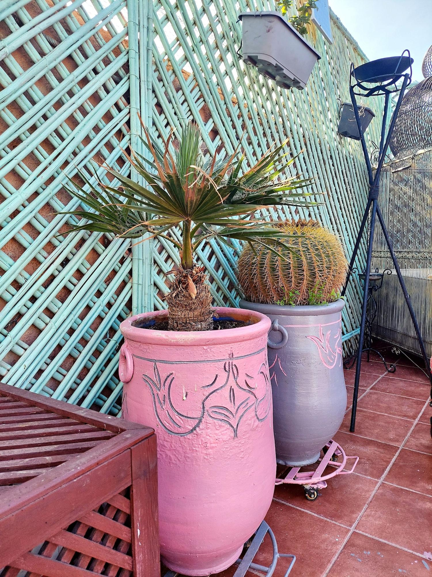 Riad 1001 Couleurs