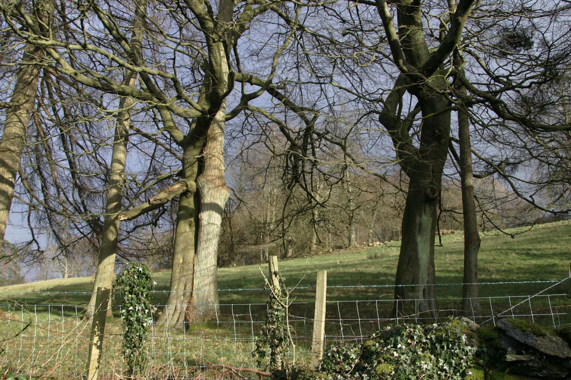 Blenheim Lodge