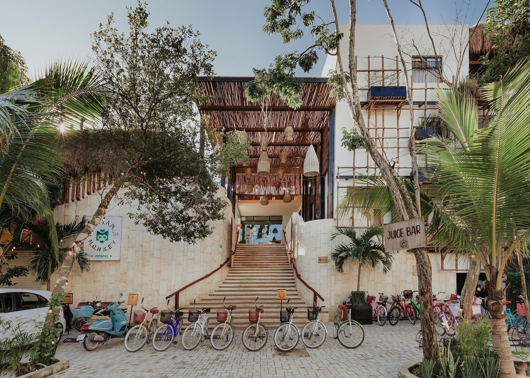 Mayan Monkey Hostel Tulum by null