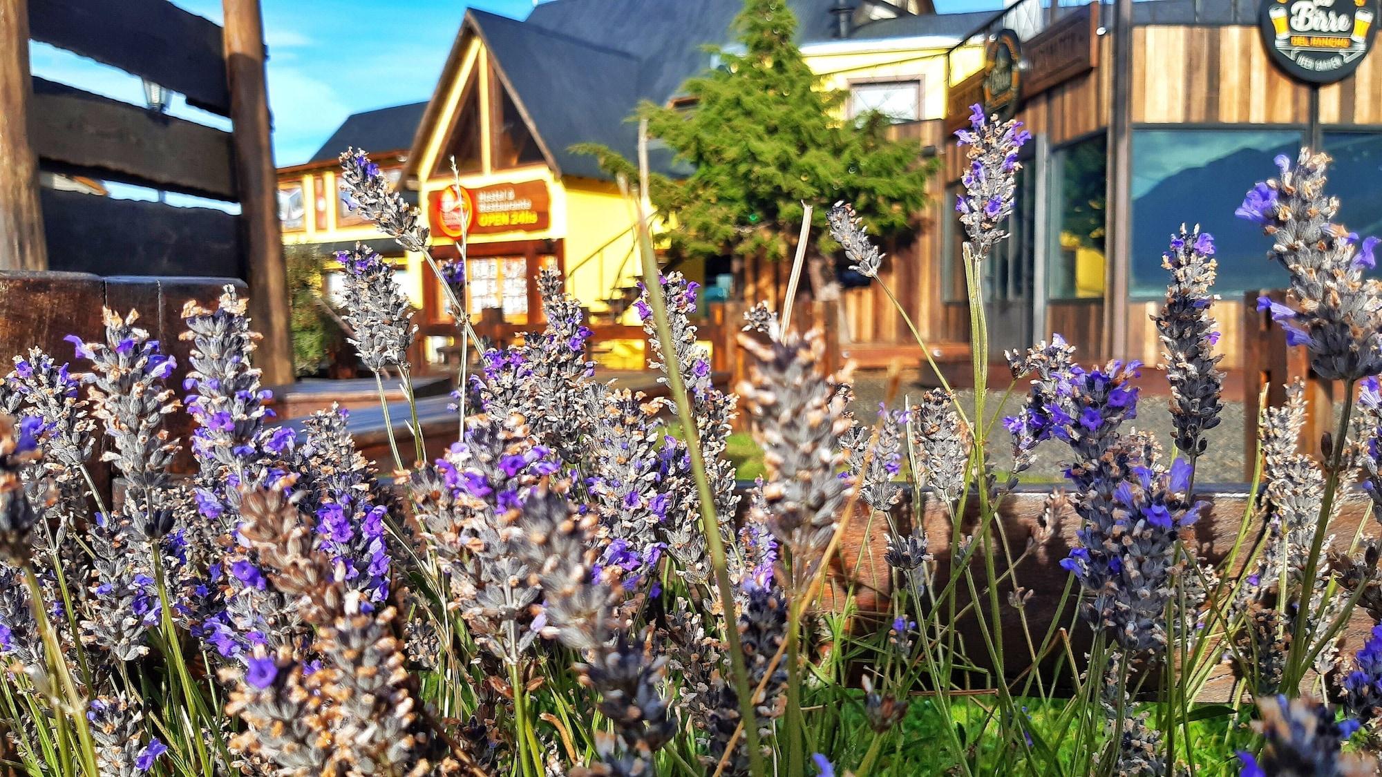 Rancho Grande Hostel y Restaurante 24 hs. by null