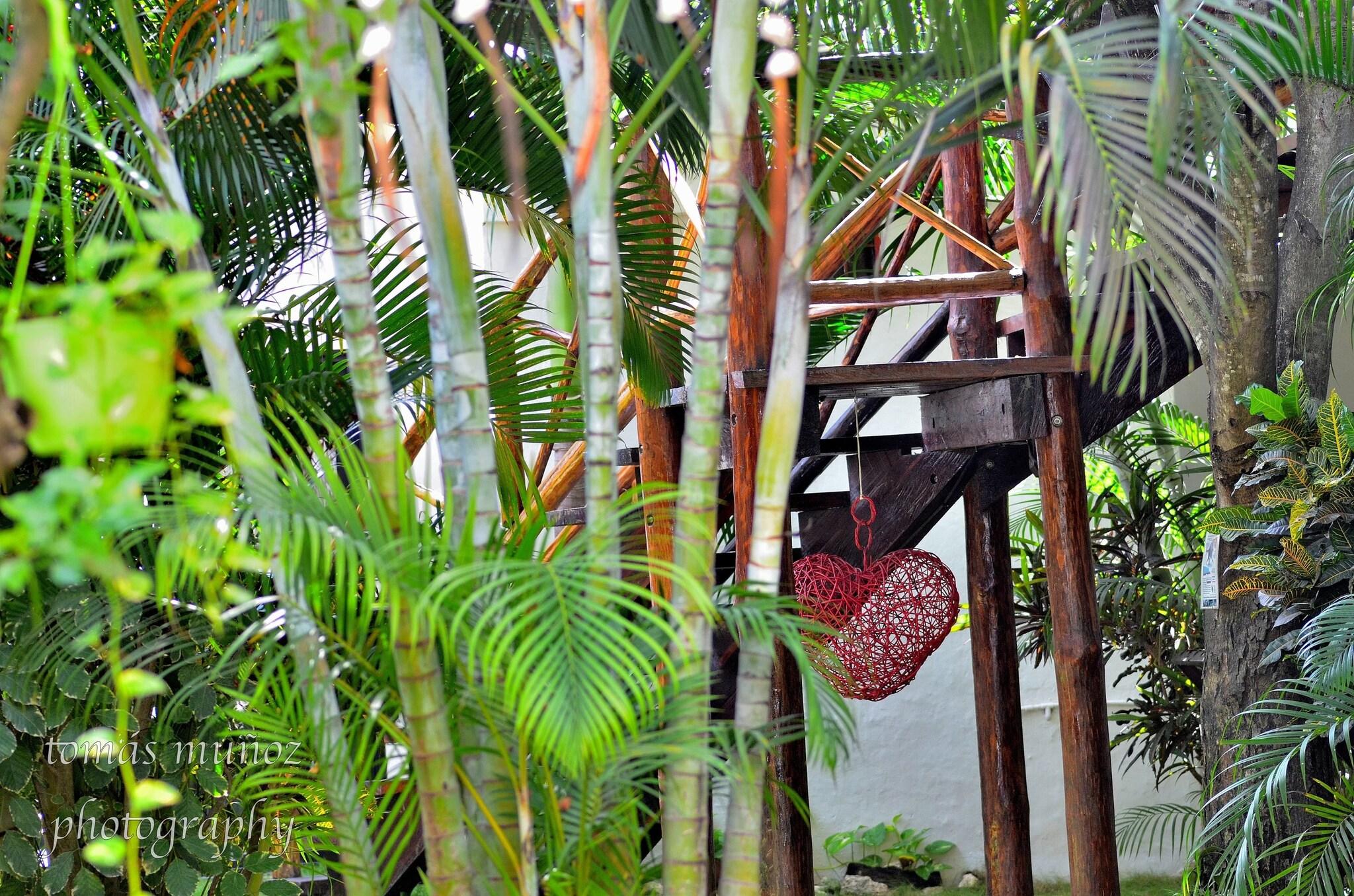 Hotel Boutique Pacha Tulum by null