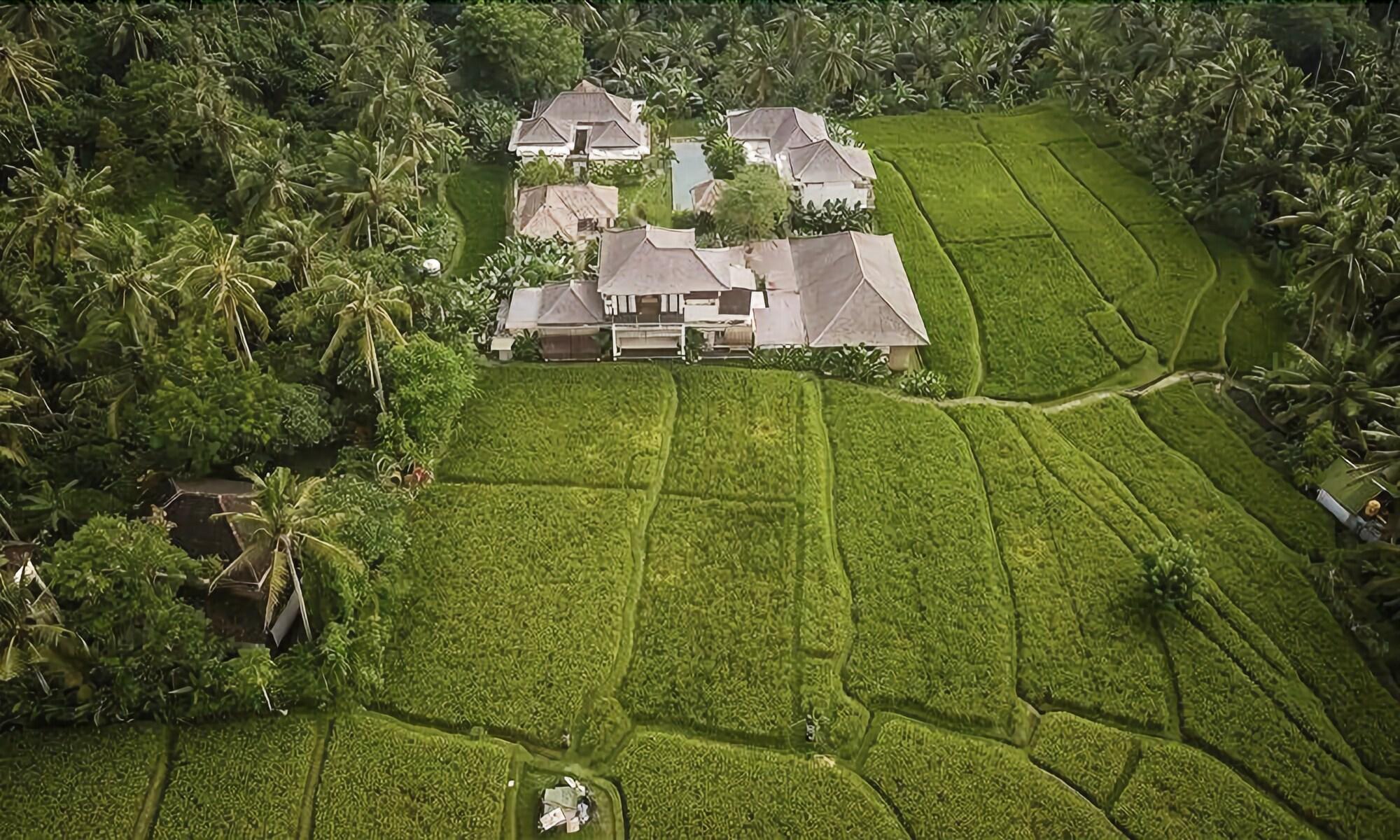 The Shala Bali - nuotrauka