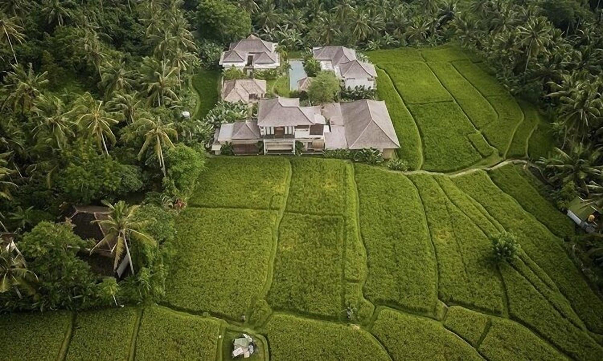 The Shala Bali - nuotrauka