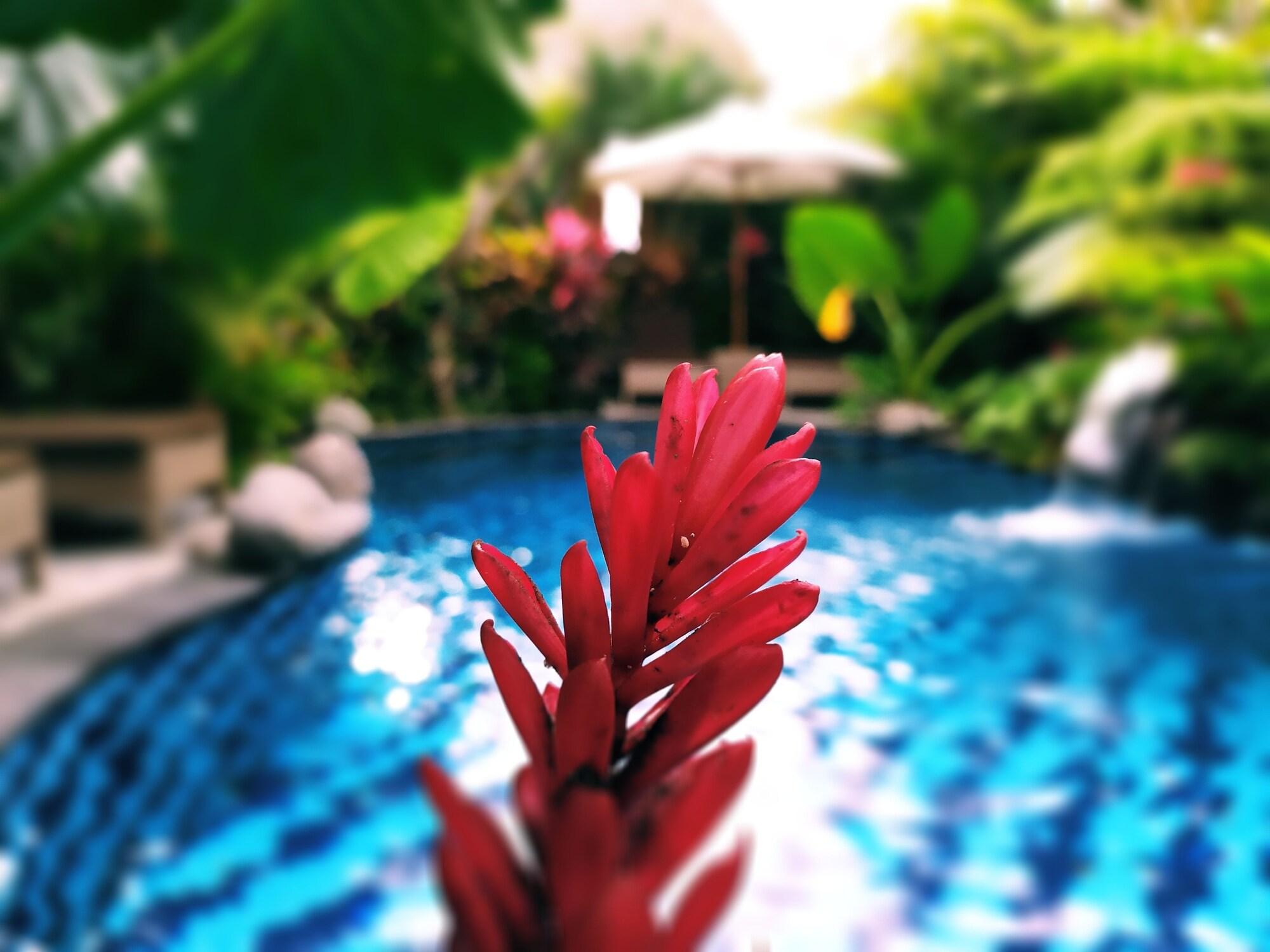 Gopala Luxury Villa Ubud - nuotrauka