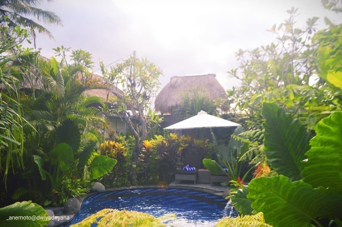 Gopala Luxury Villa Ubud - nuotrauka