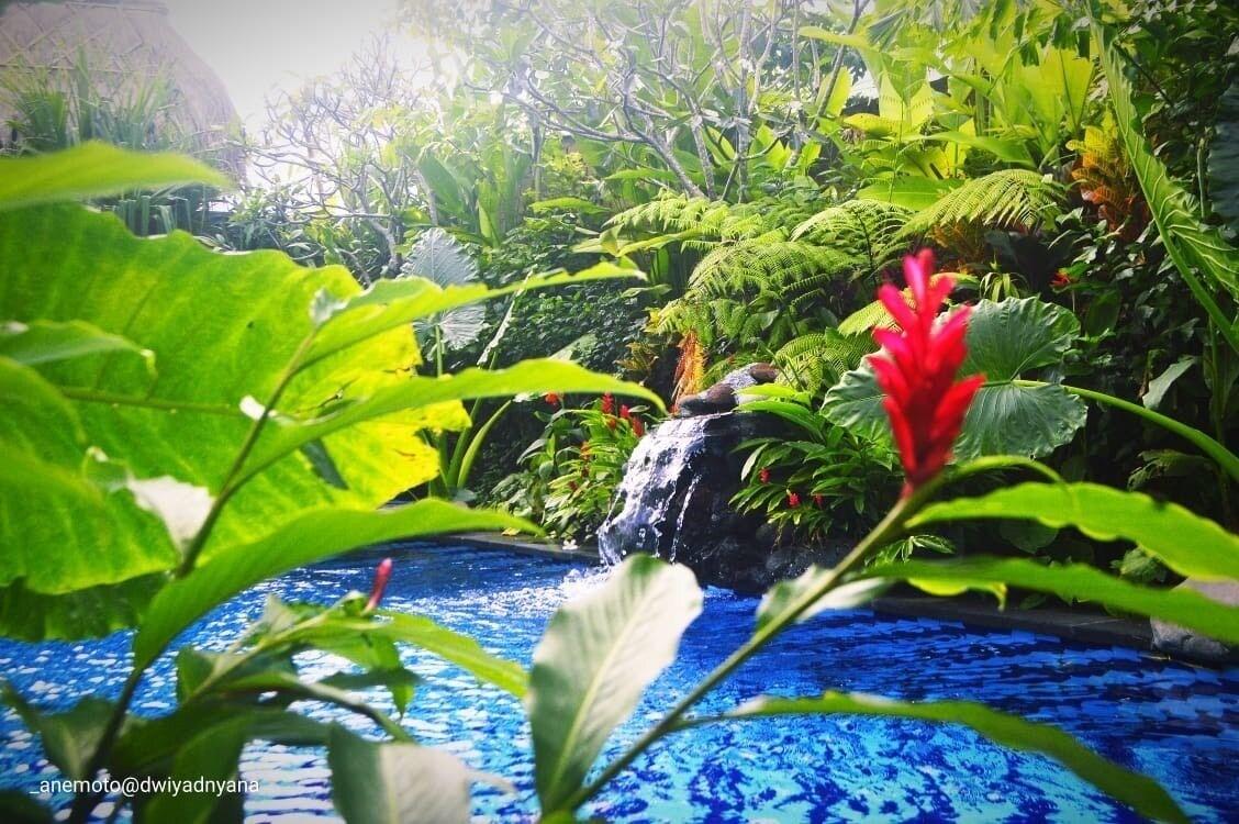 Gopala Luxury Villa Ubud - nuotrauka