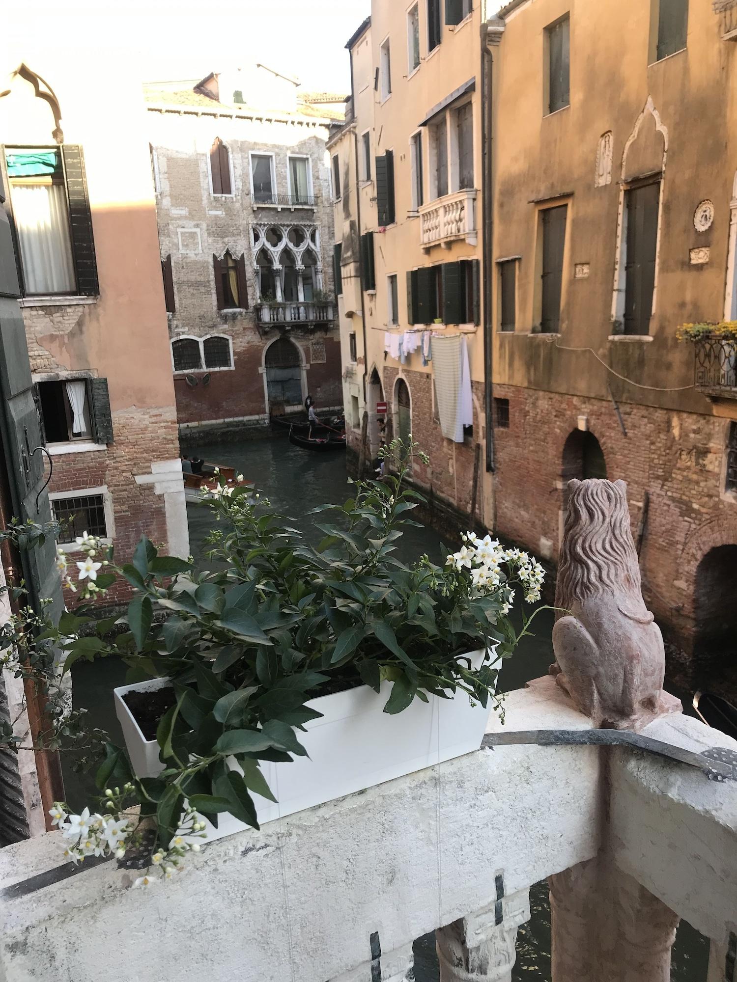 Ca Amadi - nuotrauka