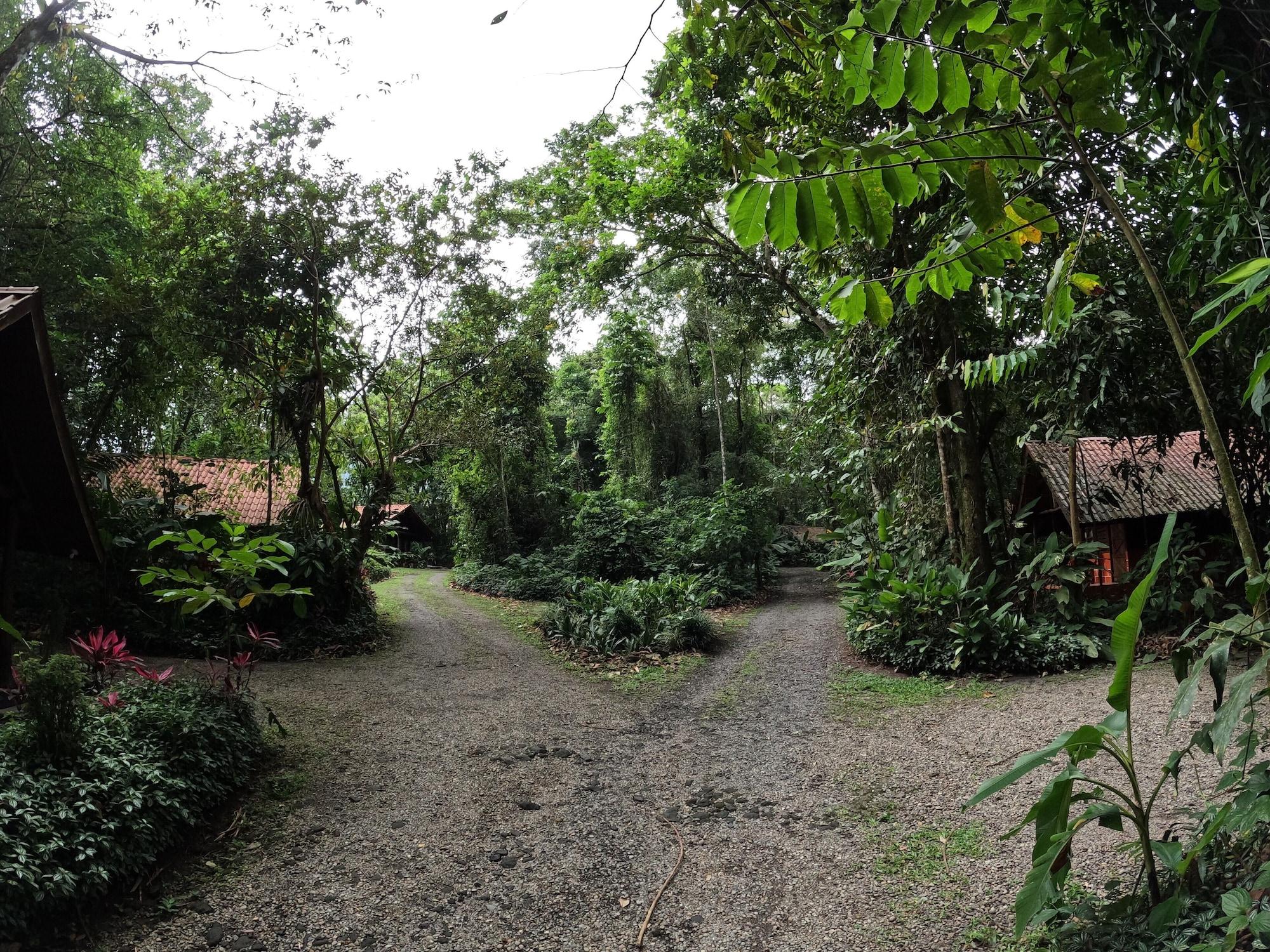 Arenal Oasis Eco Lodge & Wildlife Refuge by null