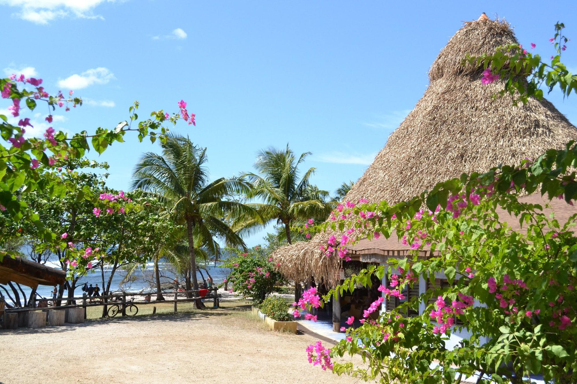 Hotel Playa Negra by null