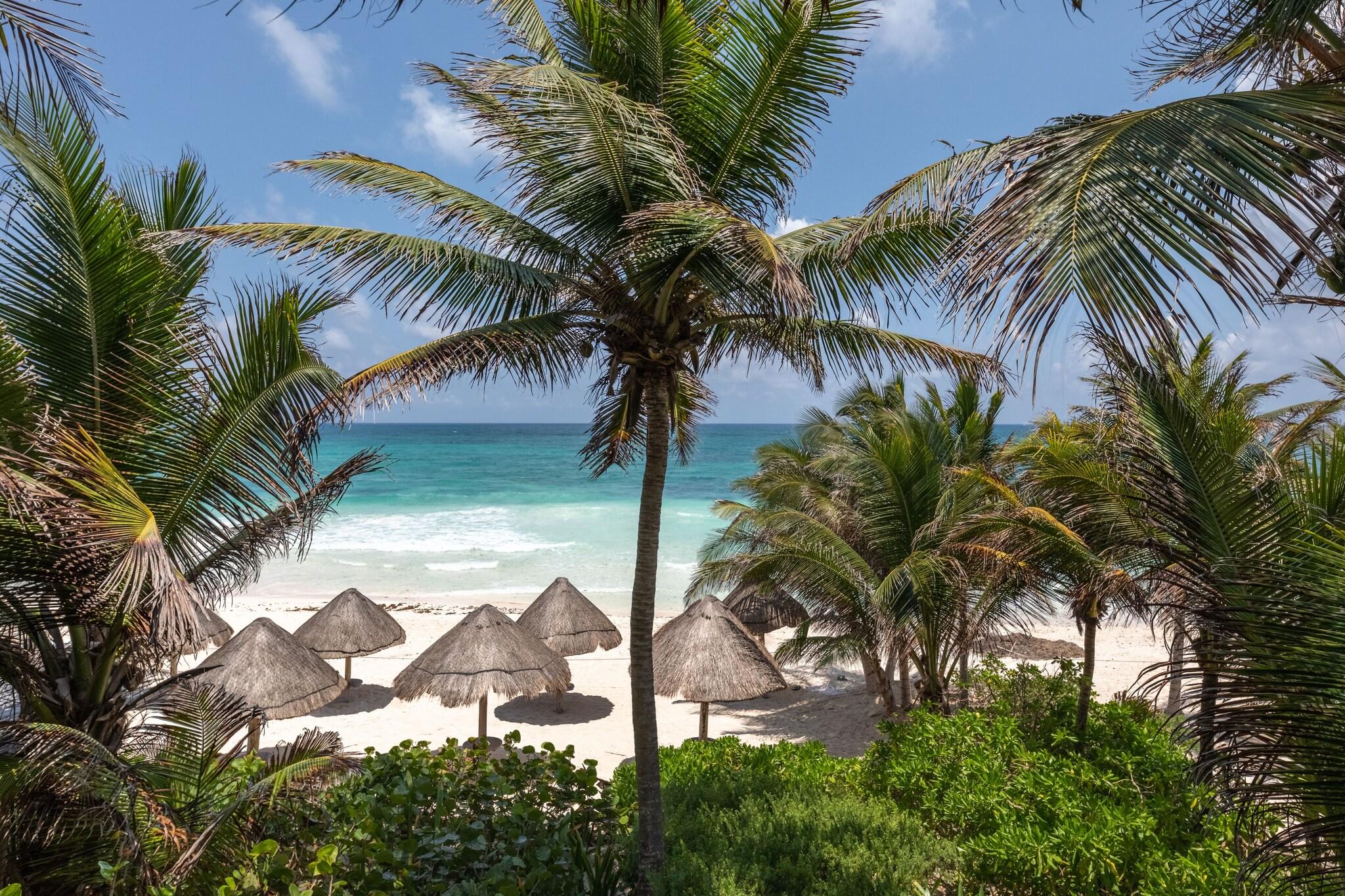 Encantada Tulum by null